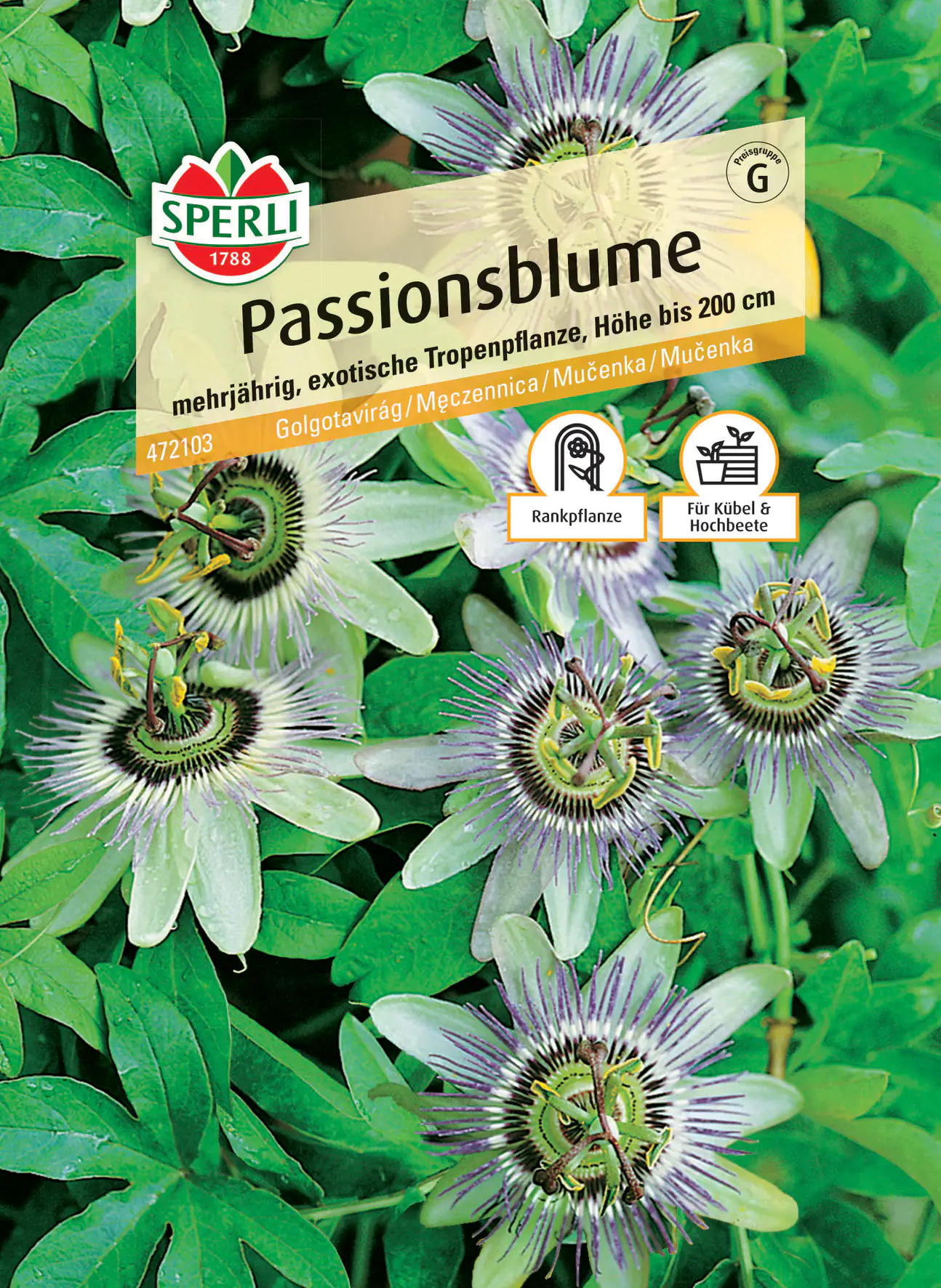 Sperli Passionsblume