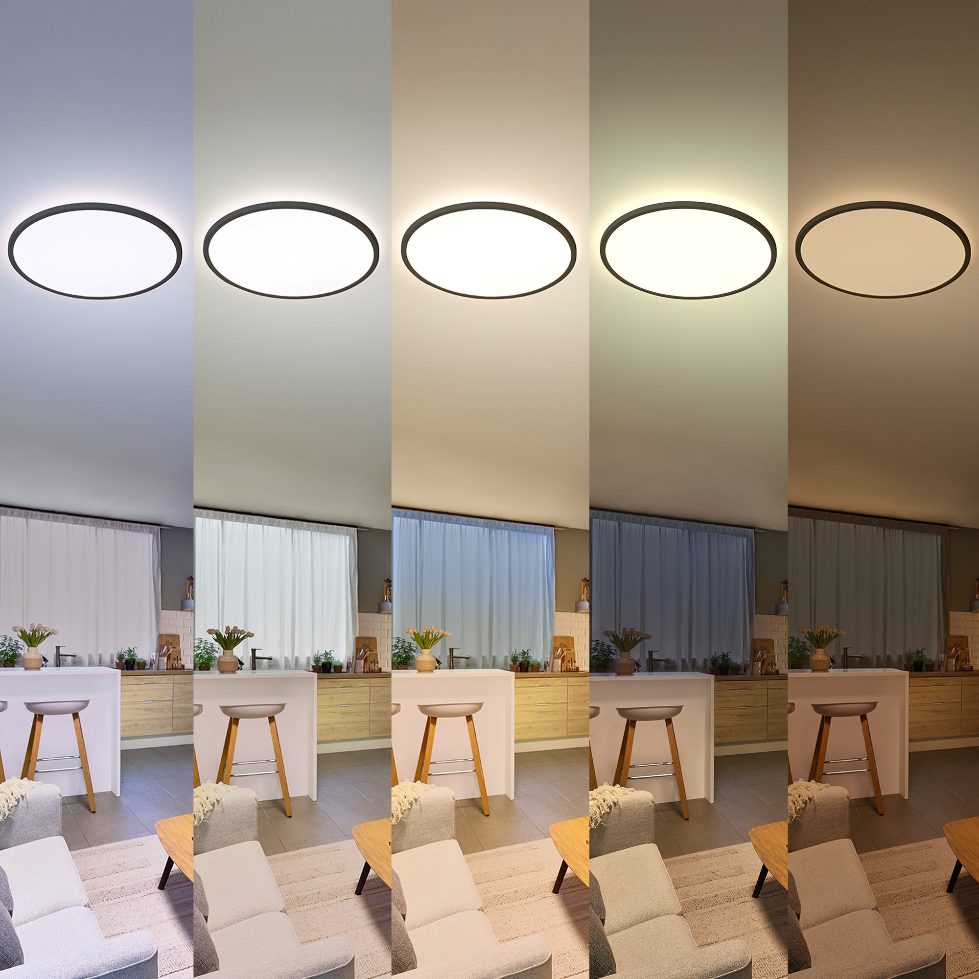 Philips LED-Deckenleuchte Valen schwarz Ø 42 x 2 cm warmweiß-kaltweiß dimmbar