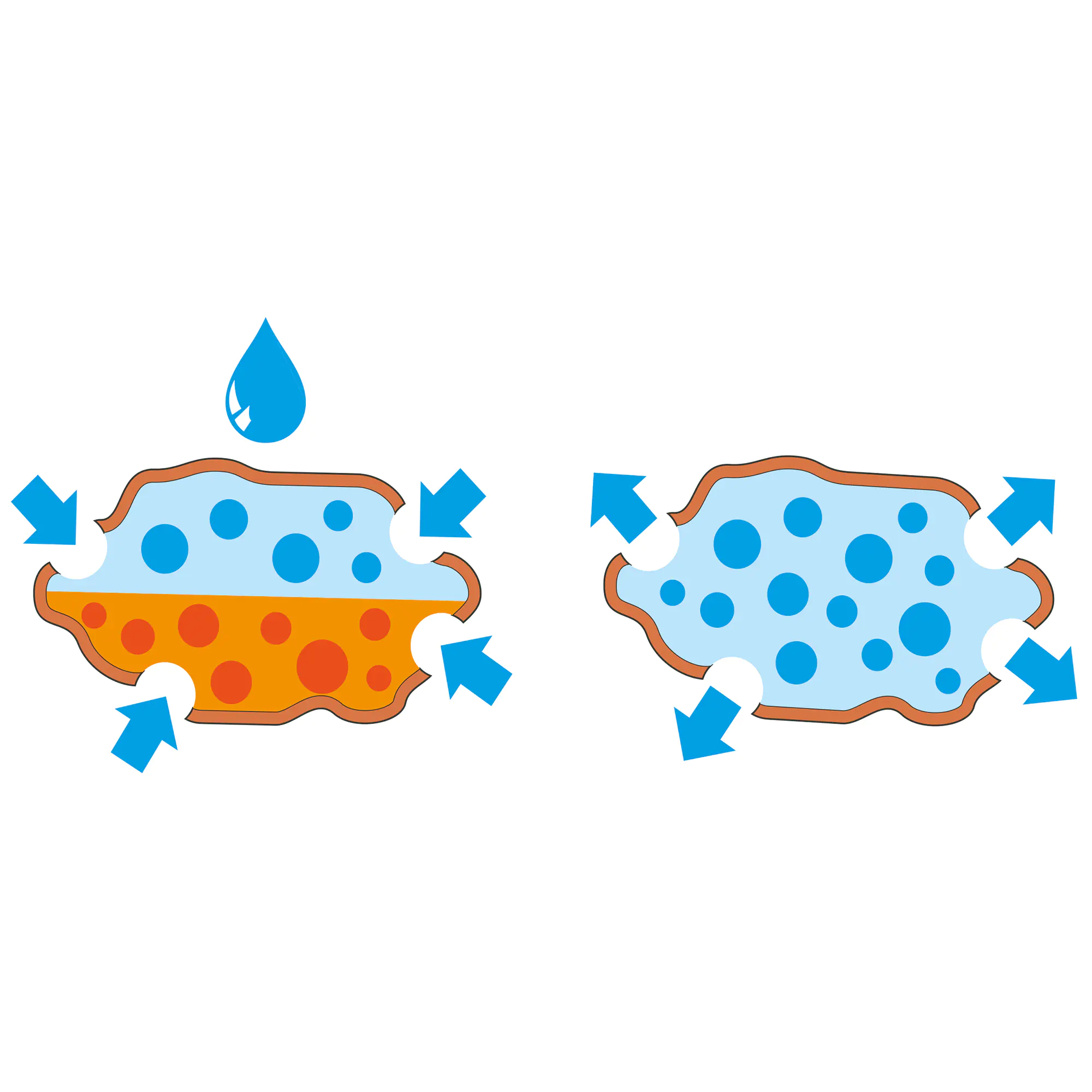 Seramis Bio-Pflanz-Granulat für Hochbeete, Balkon- & Kübelpflanzen 12,5 l