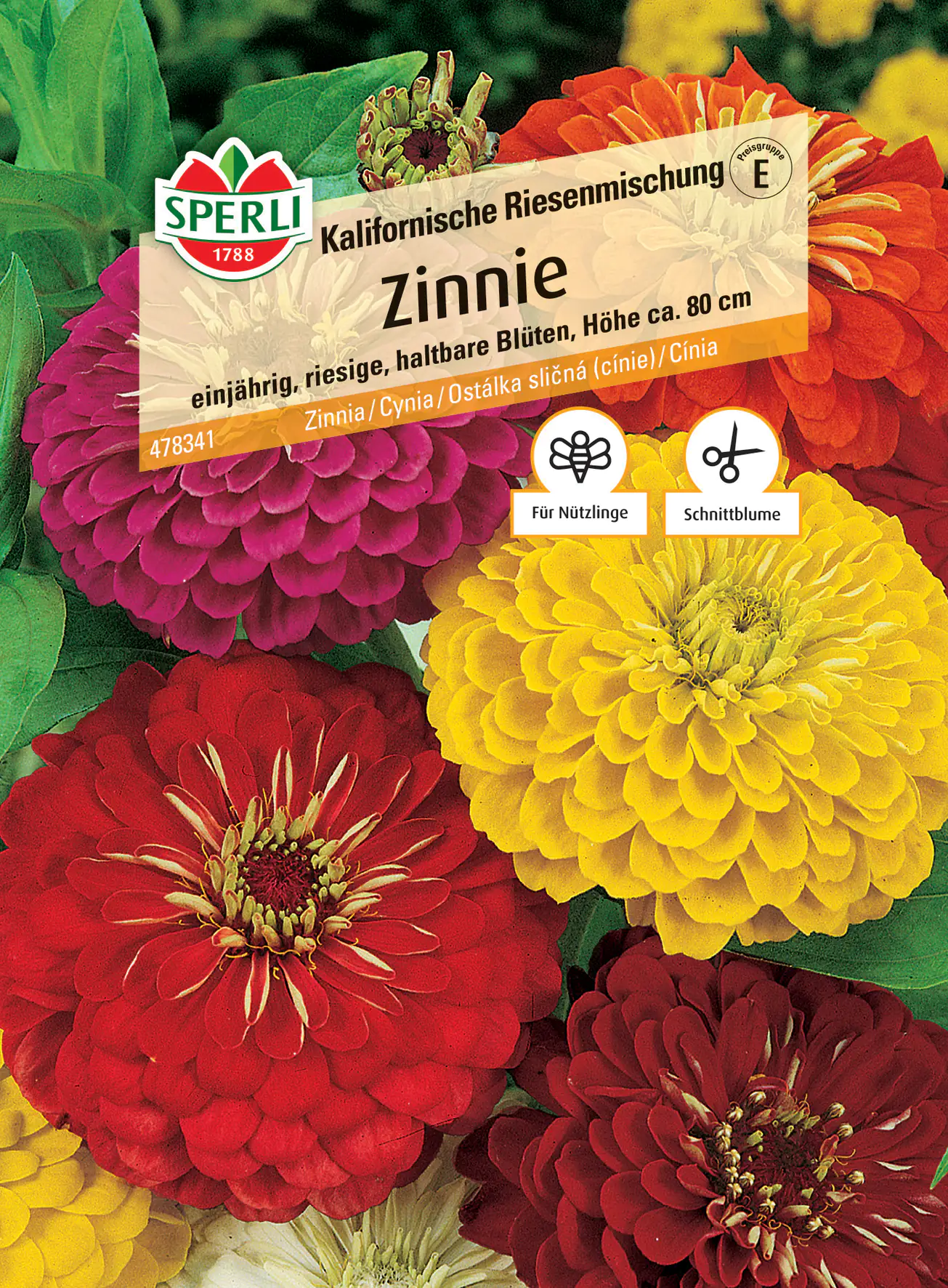 Sperli Zinnie Kalifornische Riesenmischung