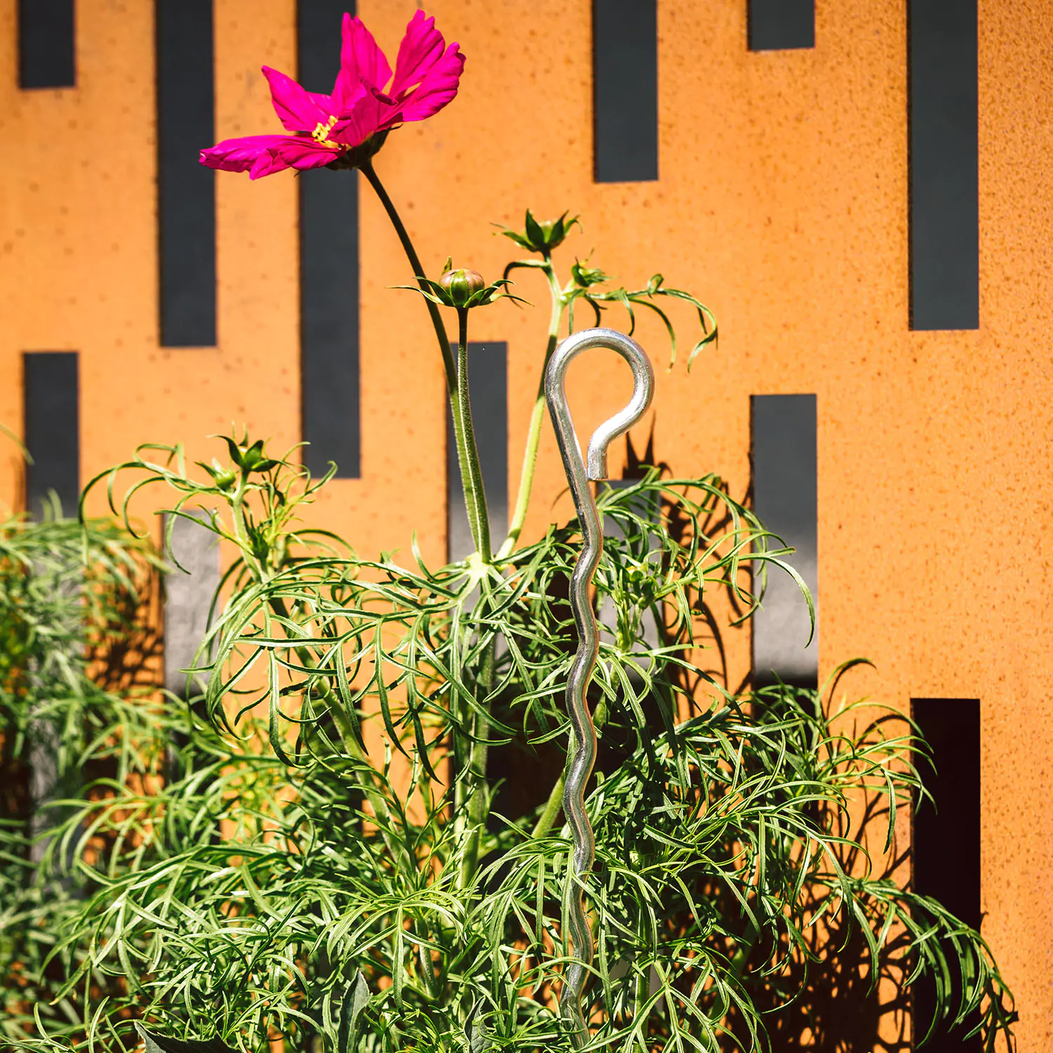 Bellissa Pflanzenstütze Mainau 150