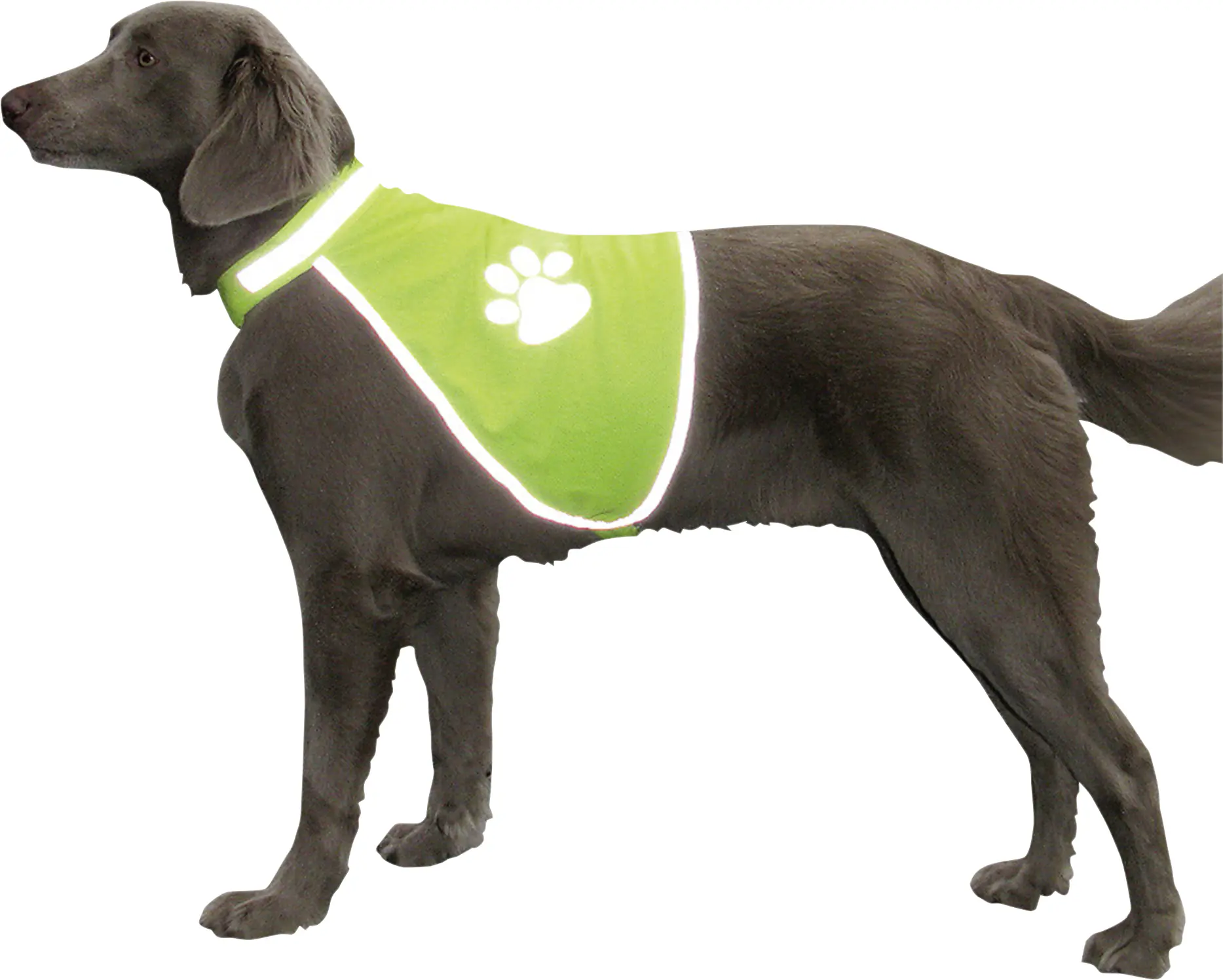 Nobby Sicherheitsweste für Hunde neon