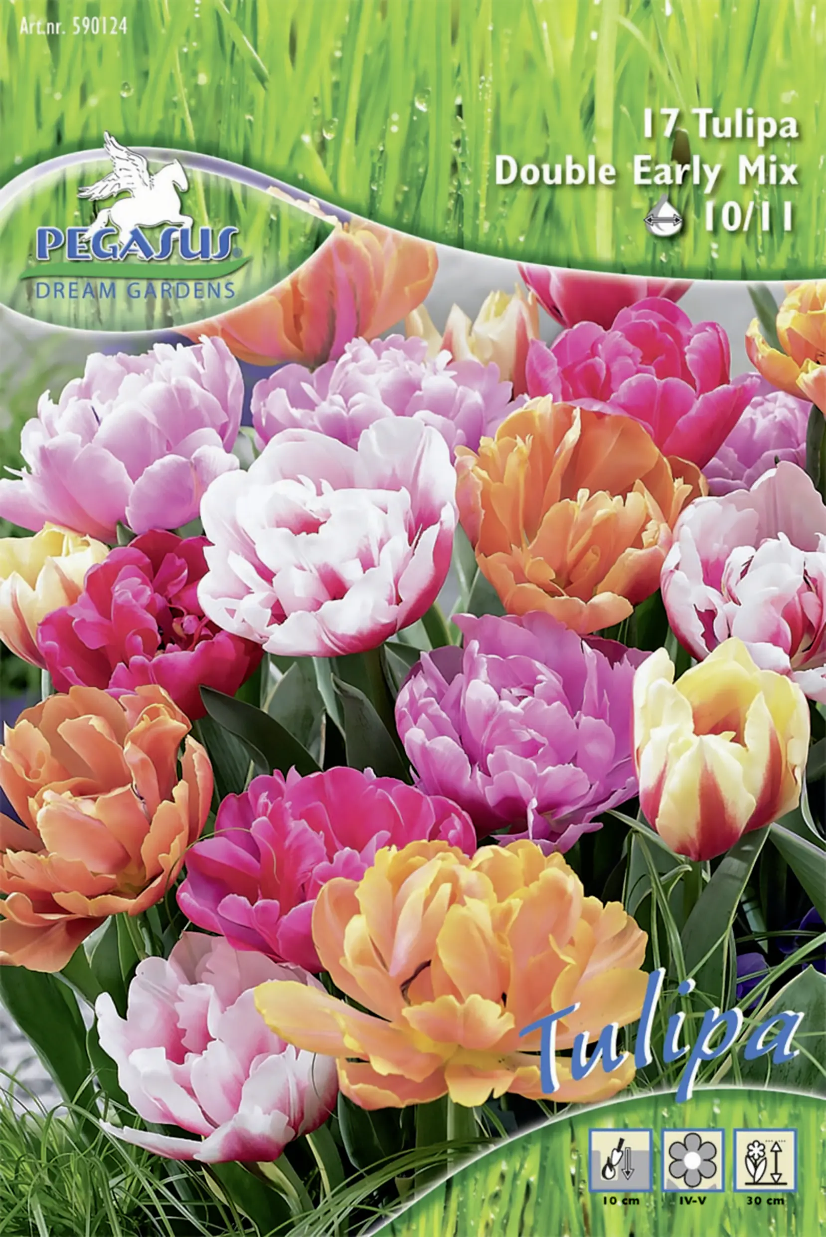 Pegasus Gefüllte Tulpen Double Mix mehrfarbig 17 Stück