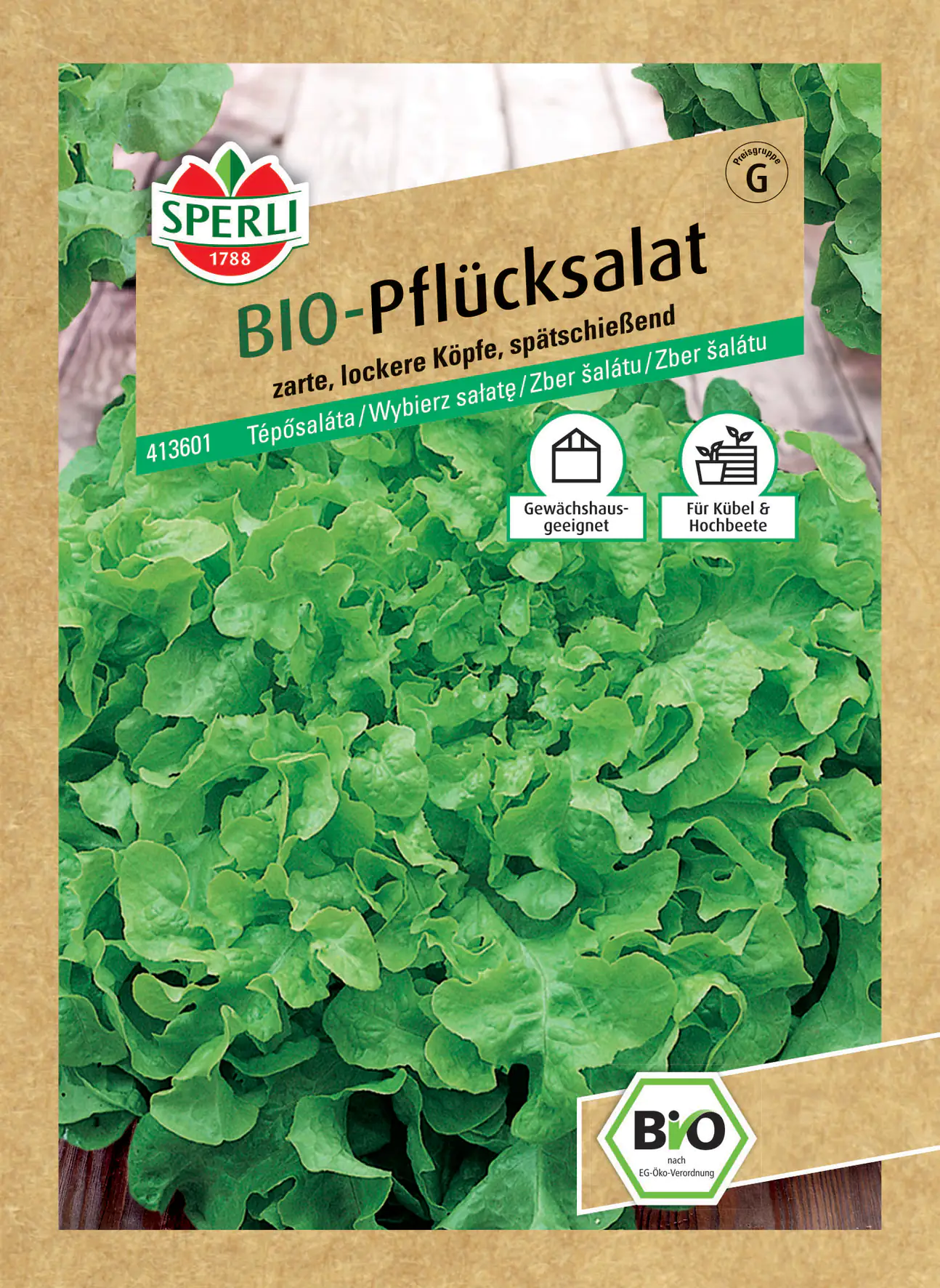 Sperli BIO Pflücksalat grün Sperli BIO Pflücksalat grün