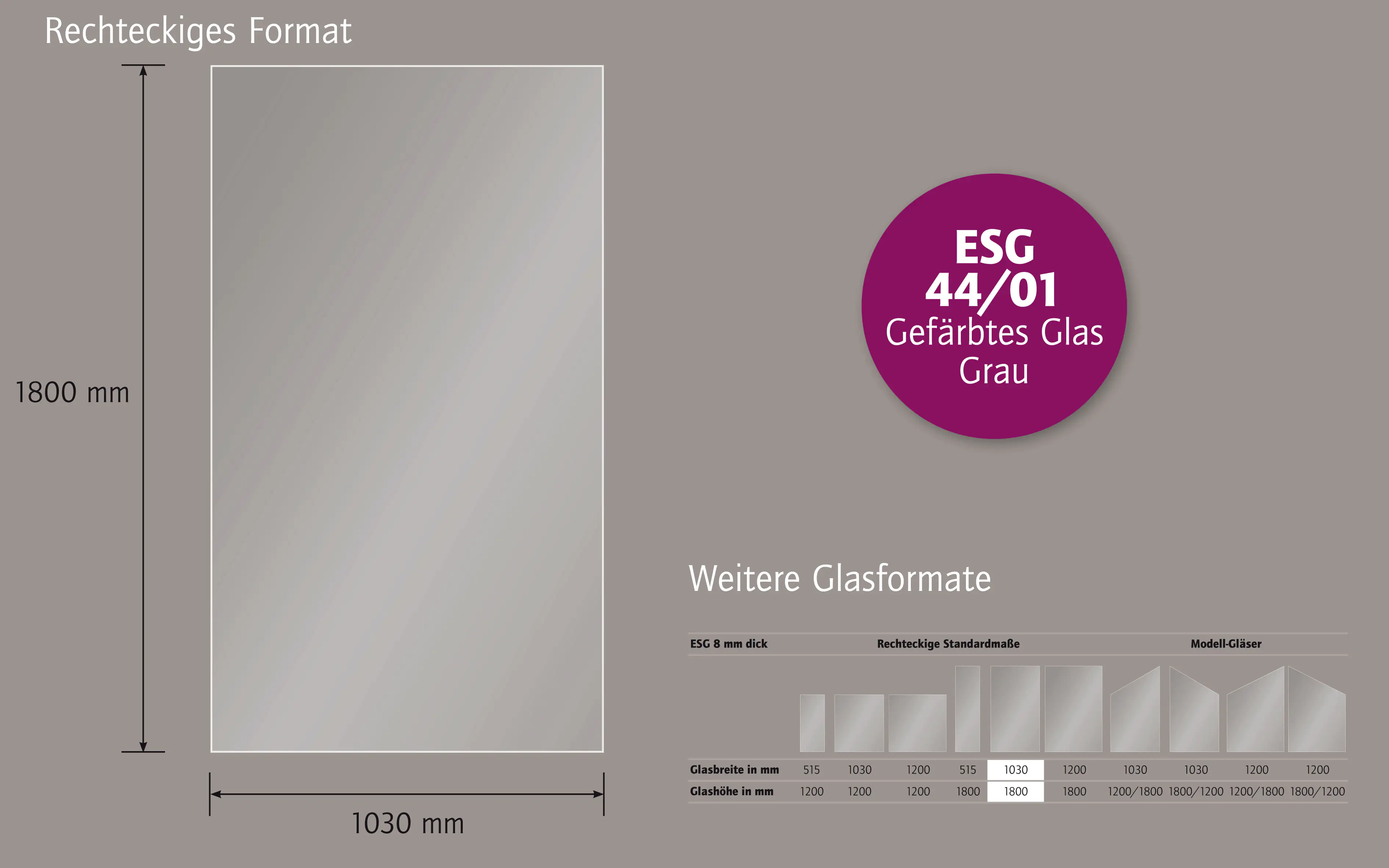 Ambiente Glaszaun B x H: 103 cm x 180 cm, gehärtetes 8 mm Glas Ambiente Glaszaun B x H: 103 cm x 180 cm, gehärtetes 8 mm Glas