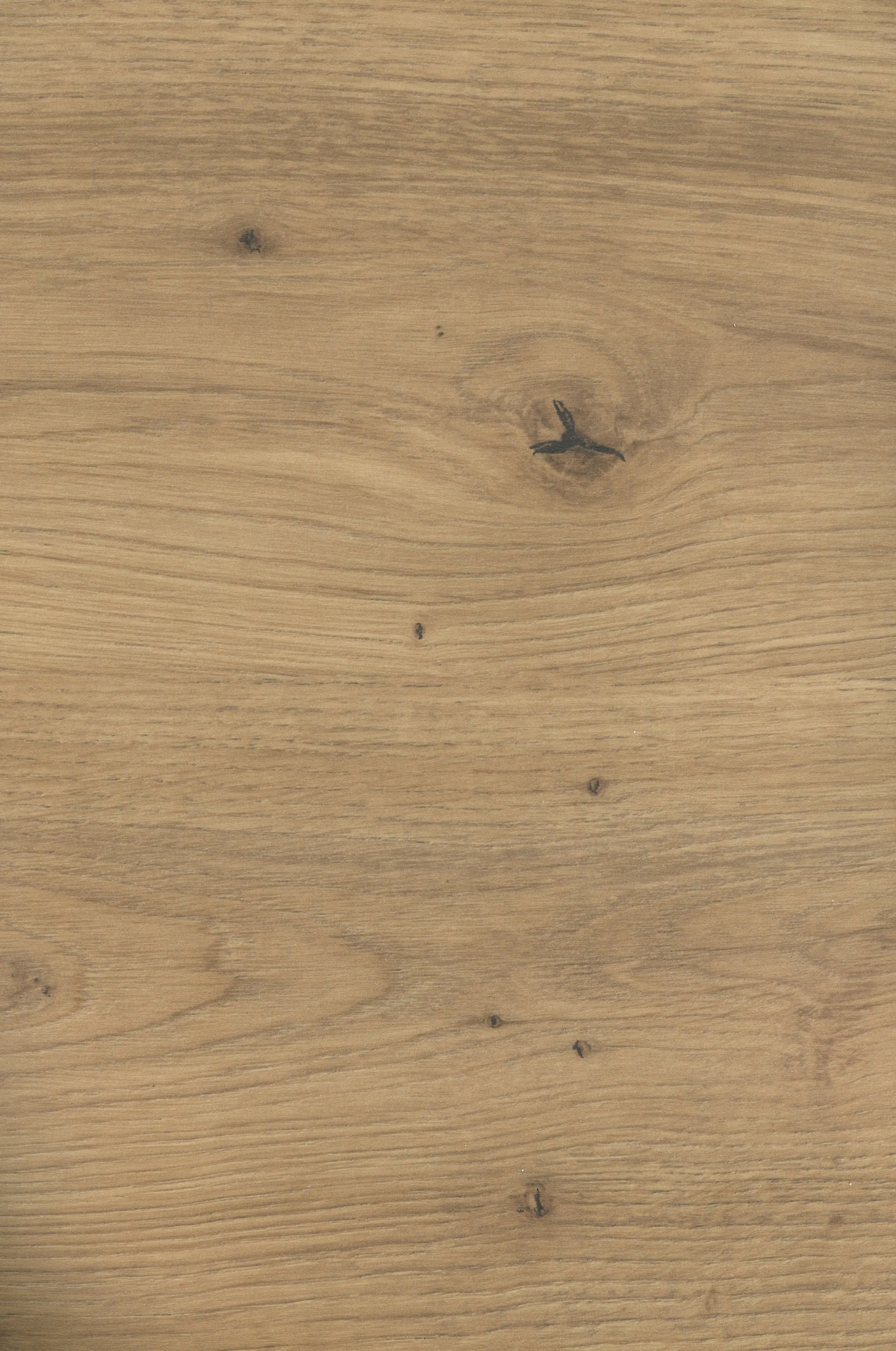 GetaElements Arbeitsplatte 410 x 60 cm, 39 mm artis eiche