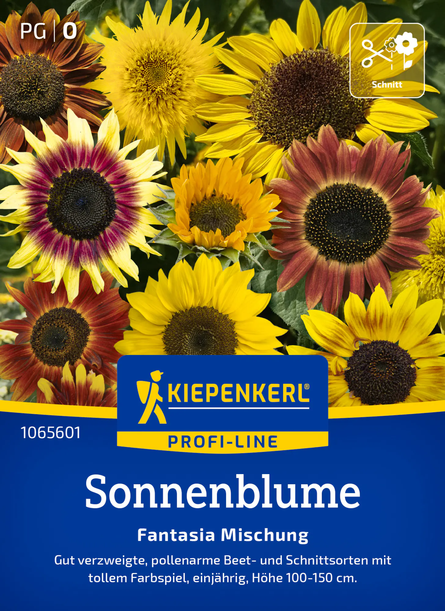 Kiepenkerl Profi-Line Blumensamen Sonnenblumen Fantasia Mischung F1 für ca. 20 Pflanzen