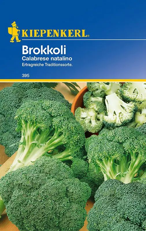 Kiepenkerl Brokkoli Calabrese natalino Brassica oleracea var. italica, Inhalt: ca. 50 Pflanzen