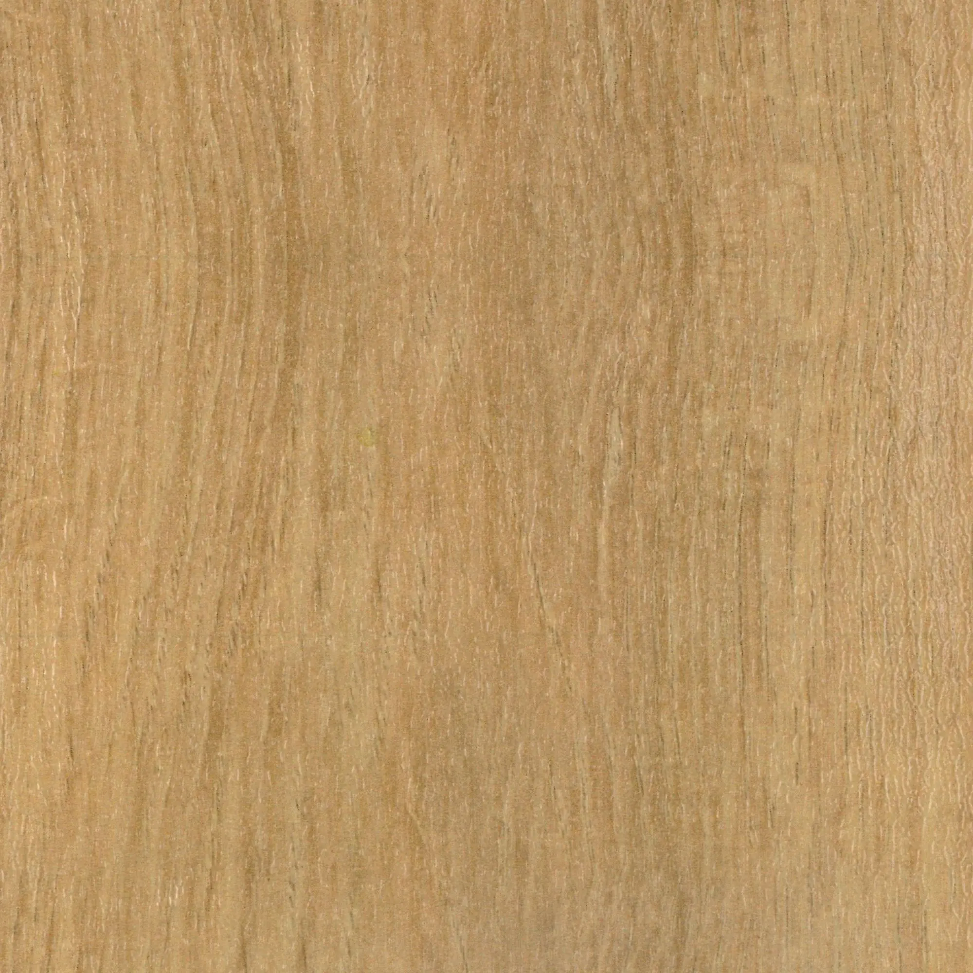 Neuhofer Übergangsprofil Dow-Fix 06 90 x 3,7 x 0,6 cm braun Neuhofer Übergangsprofil Dow-Fix 06 90 x 3,7 x 0,6 cm braun