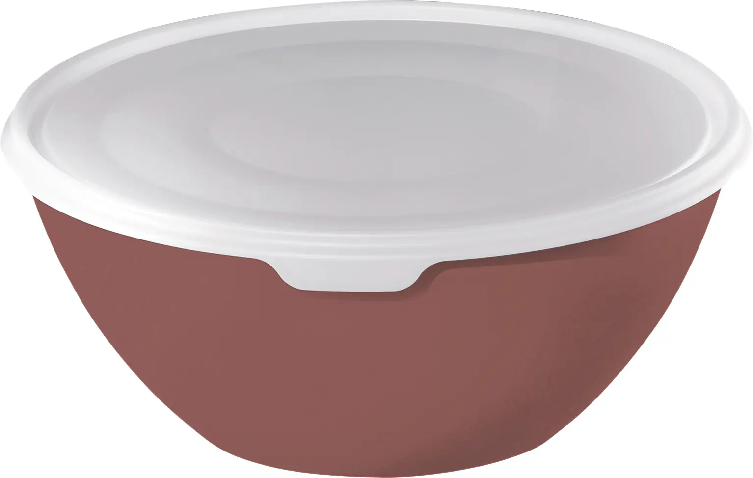 Rotho Schüssel + Deckel Caruba, 3 l iron rot