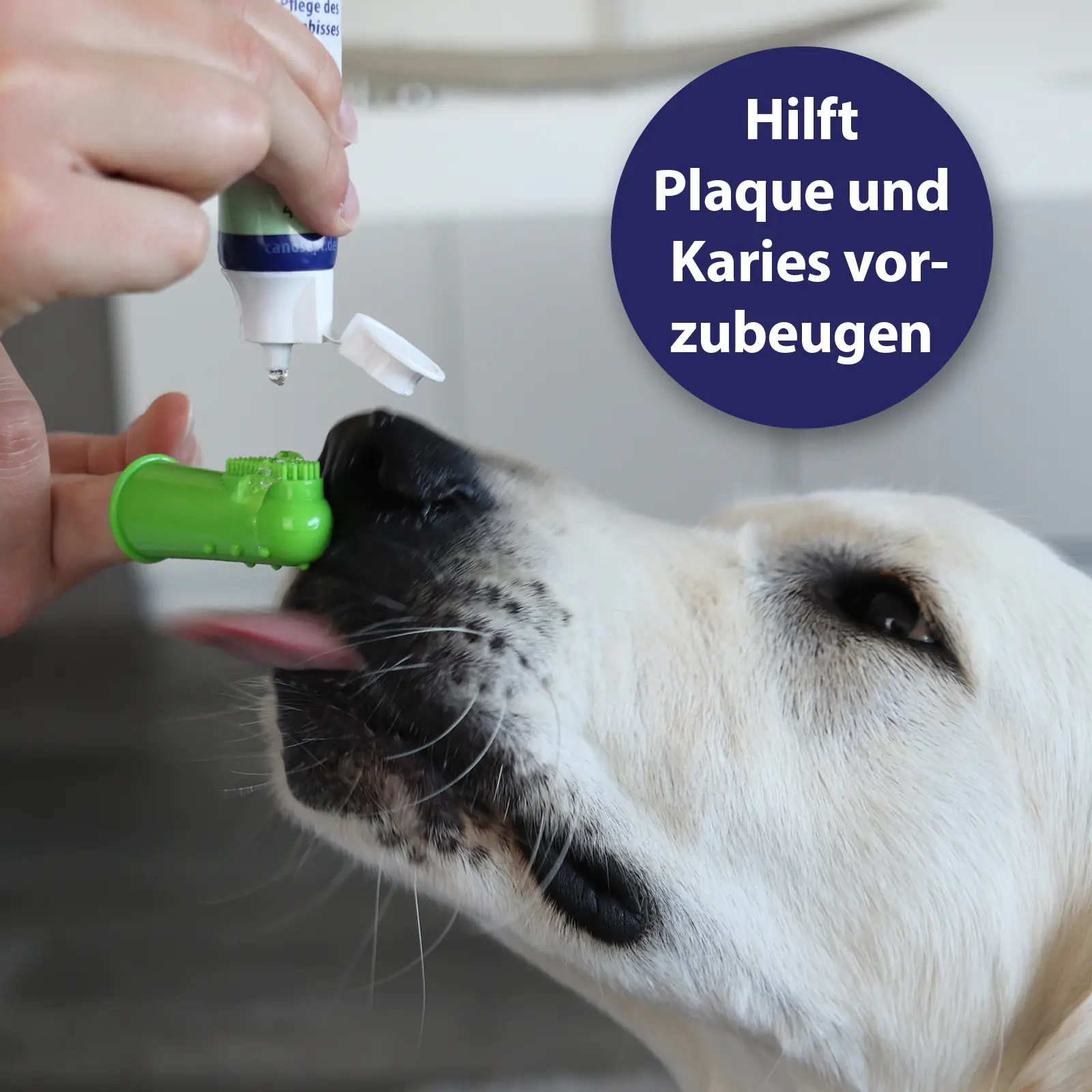 Canosept Zahnpflege Finger-Bürsten für Hunde 3 Stück