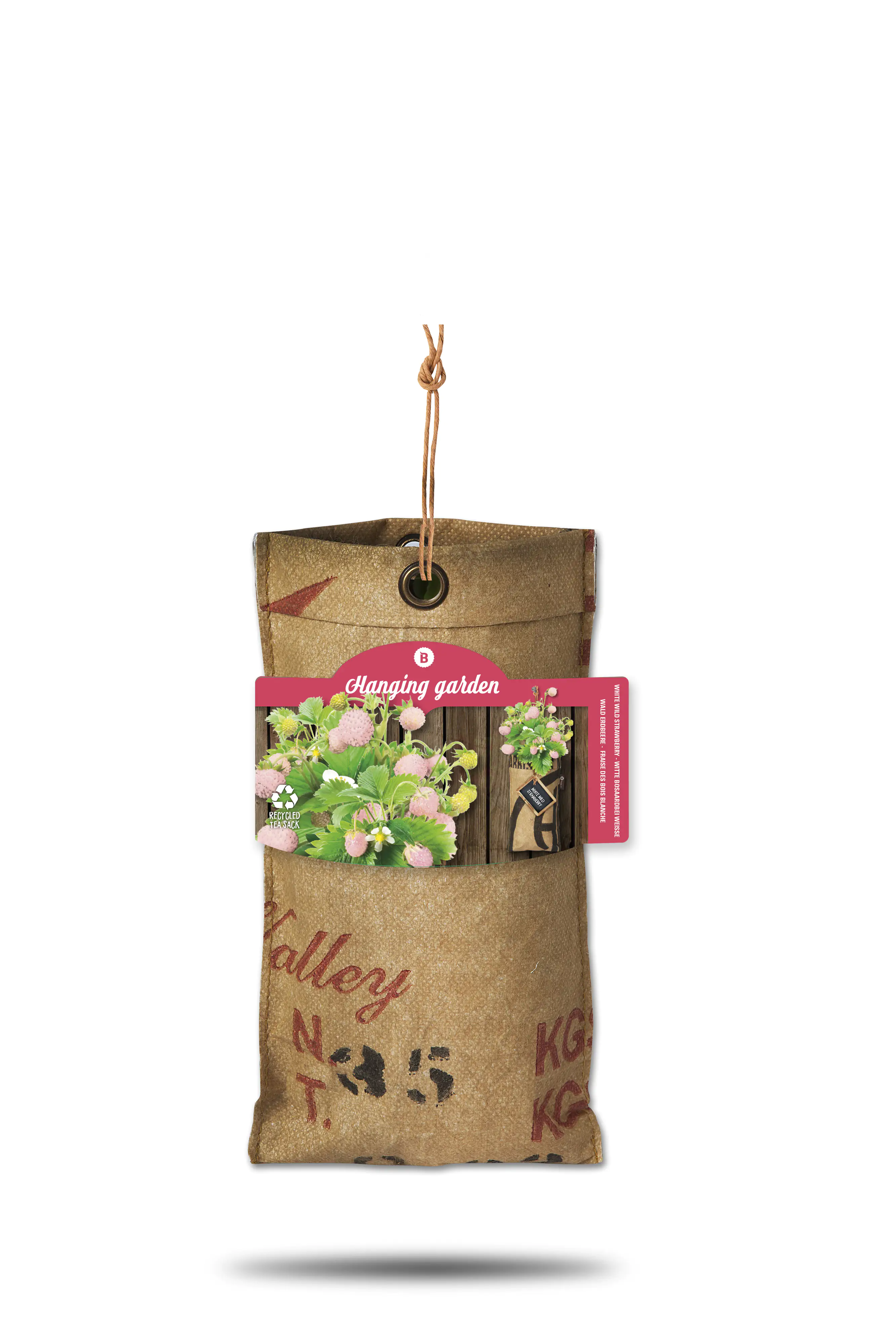 Baza Seeds hängender Garten Walderdbeere weiß Baza Seeds hängender Garten Walderdbeere weiß