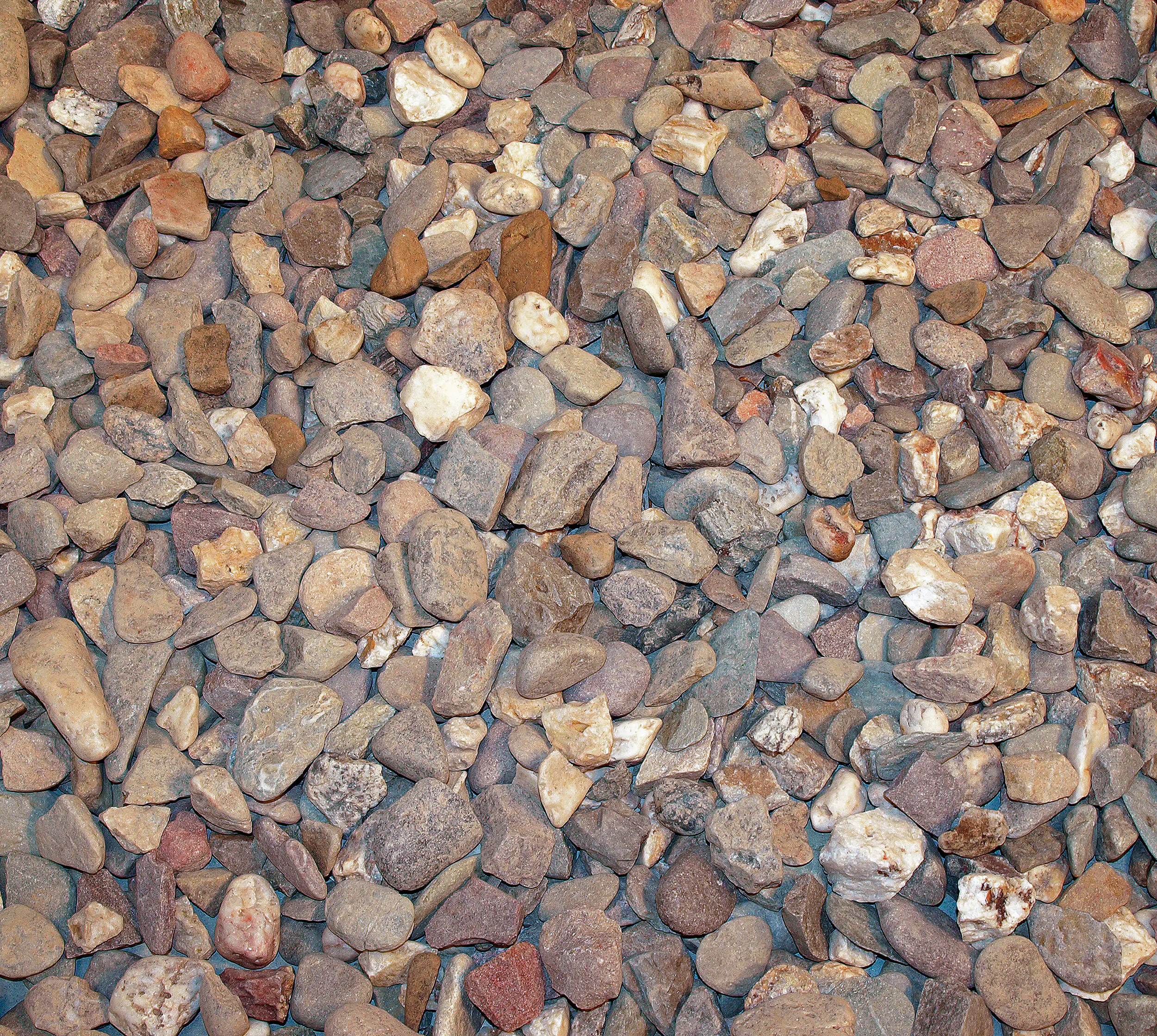 Rheinkies 16 - 32 mm 25 kg