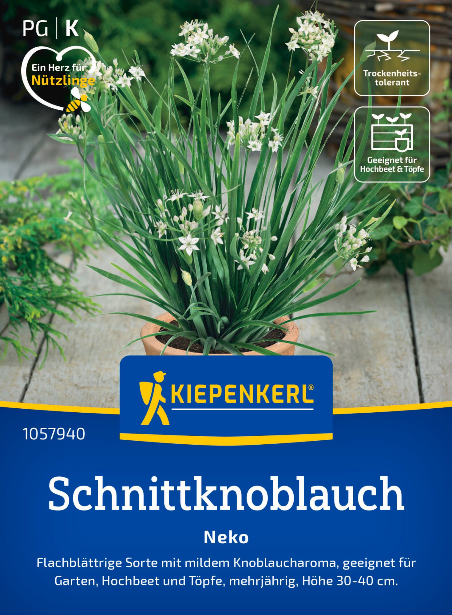 Kiepenkerl Saatgut Schnittknoblauch Neko für ca. 100 Pflanzen