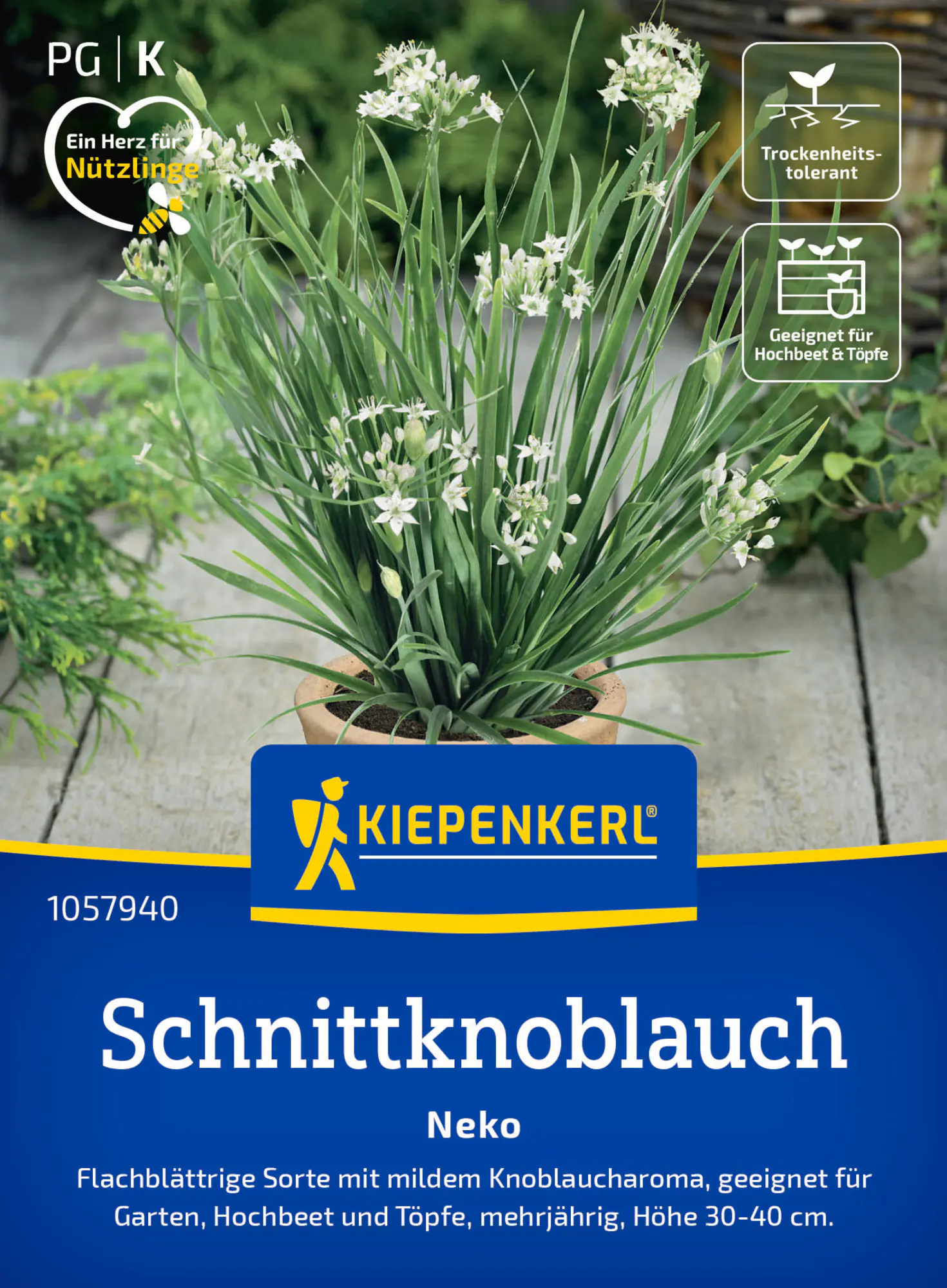 Kiepenkerl Saatgut Schnittknoblauch Neko für ca. 100 Pflanzen