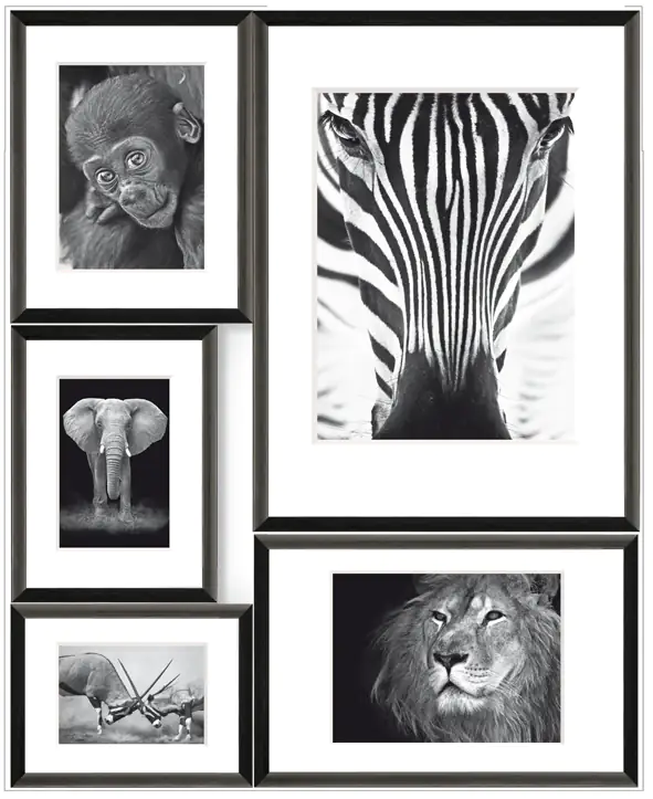 4251050543214 Bilderrahmen Collage Wild Africa 5 Fotos, 53 x 65 cm