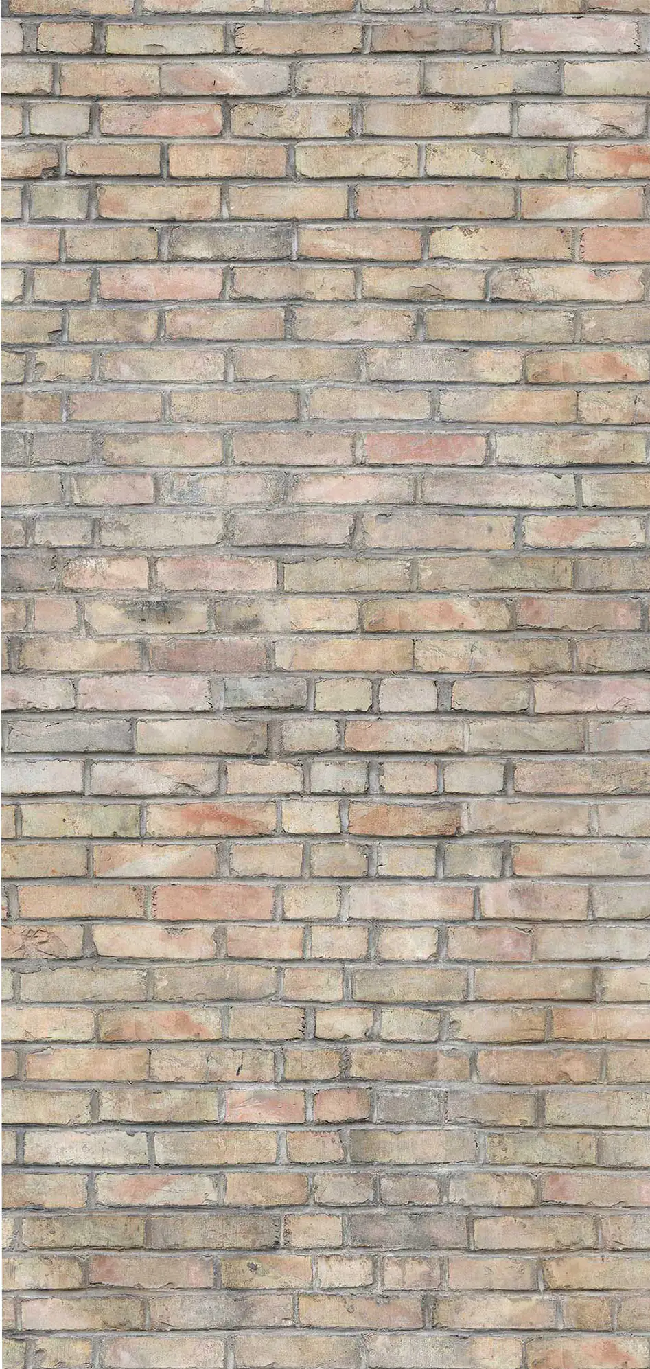 Breuer Duschrückwand Mauer-Optik Vintage Dekor 100 x 255 x 0,3 cm