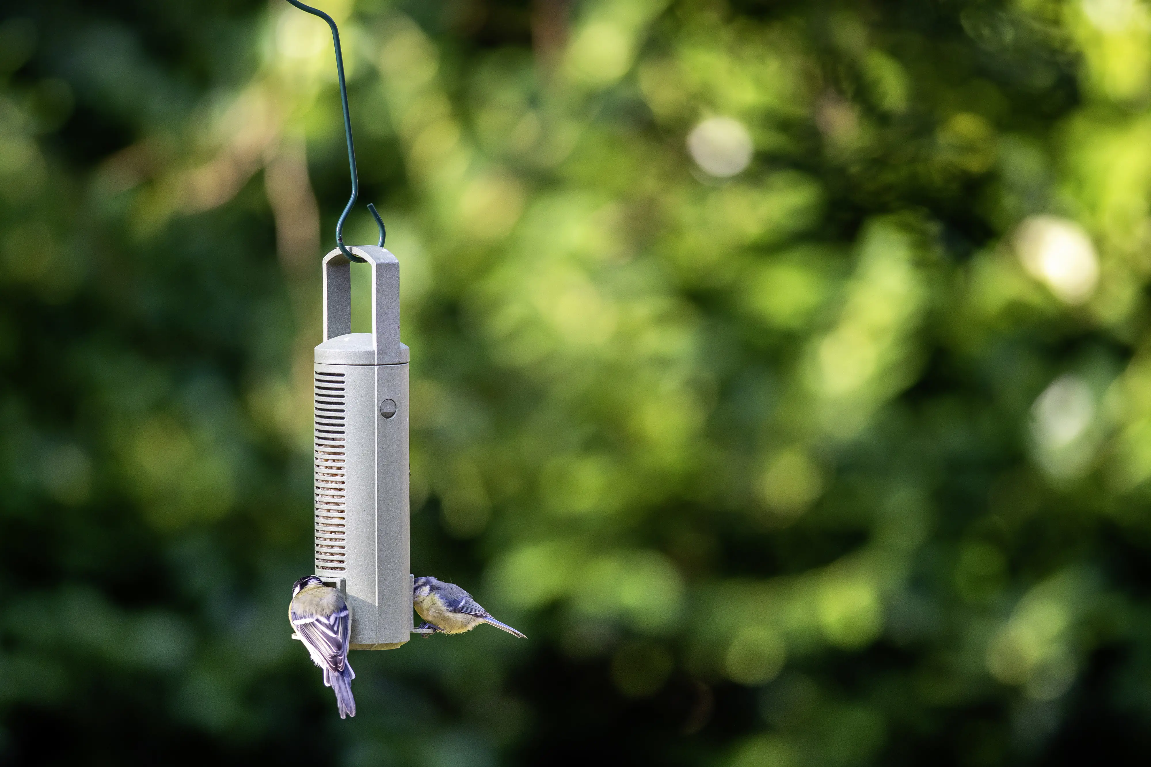 CJ Wildbird Futtersäule für Wildvögel