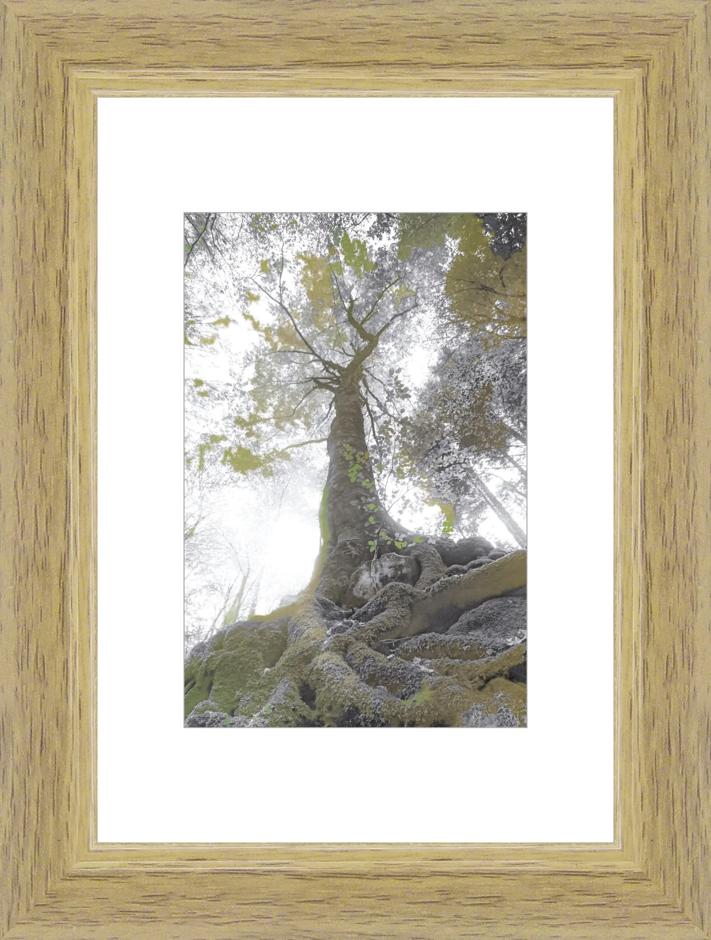 Bilderrahmen Modern eiche, 9 x 13 cm