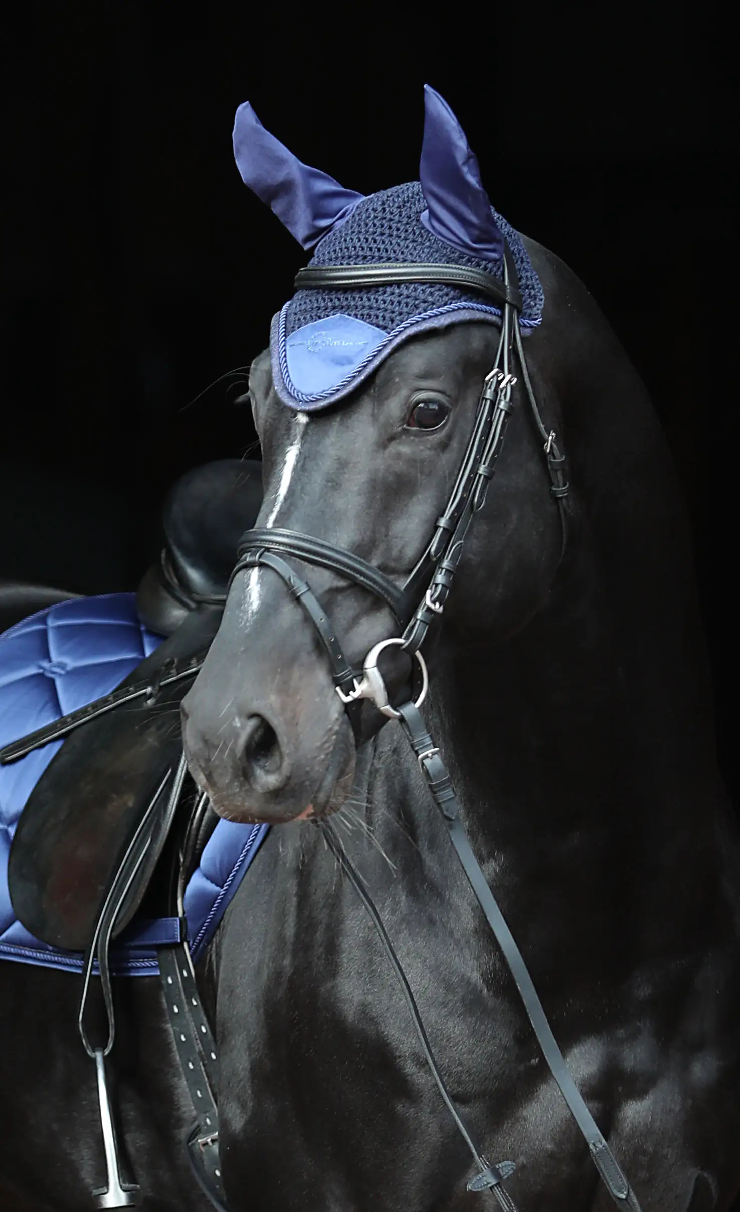 Kerbl Fliegenhaube Empara navy Cob/Full