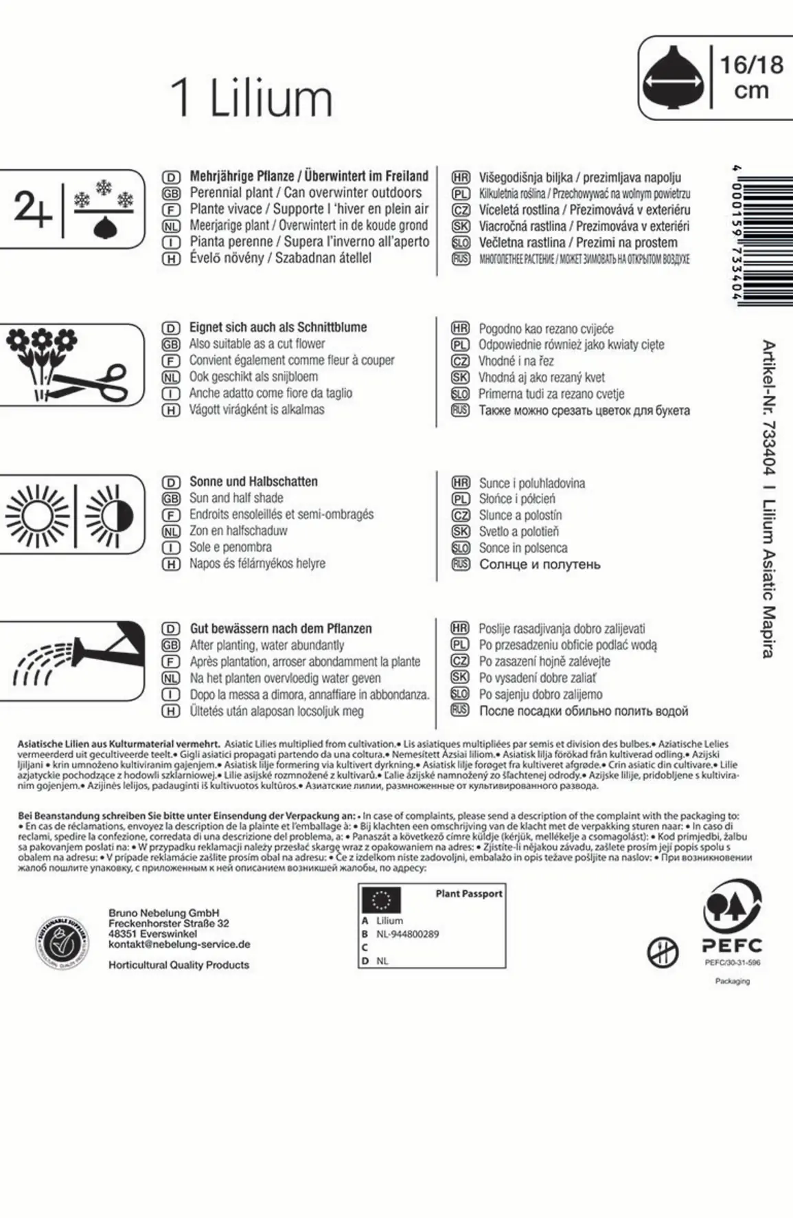 Kiepenkerl Asiatische Lilie Mapira