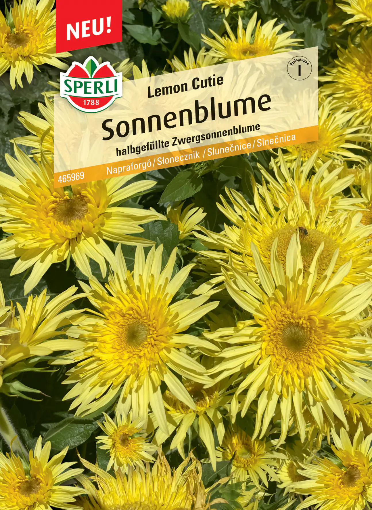 Sperli Sonnenblume Lemon Cutie