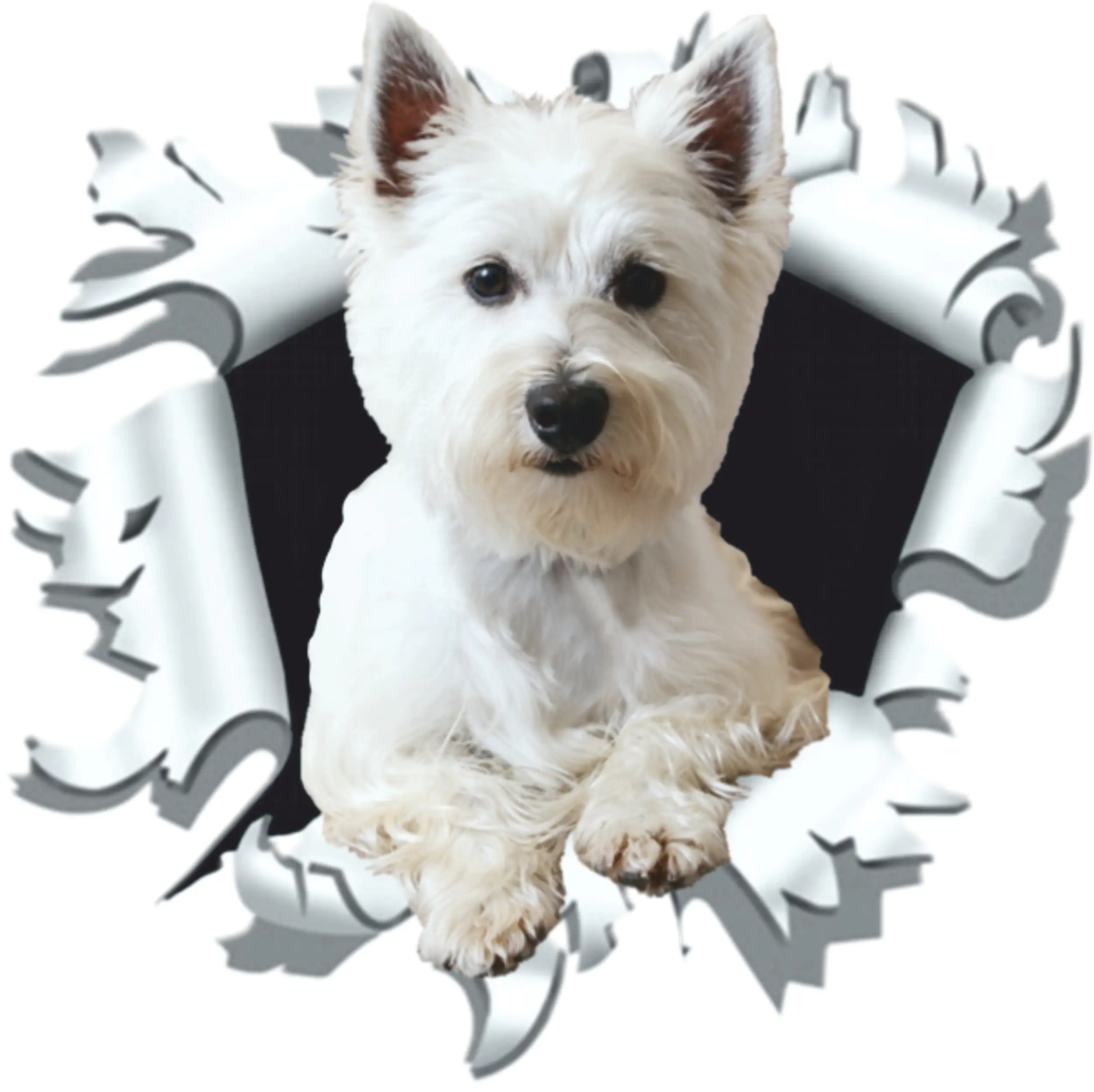 Hermann Schütz Aufkleber Einschussloch 90mm Motiv Hund Westi 80x80mm