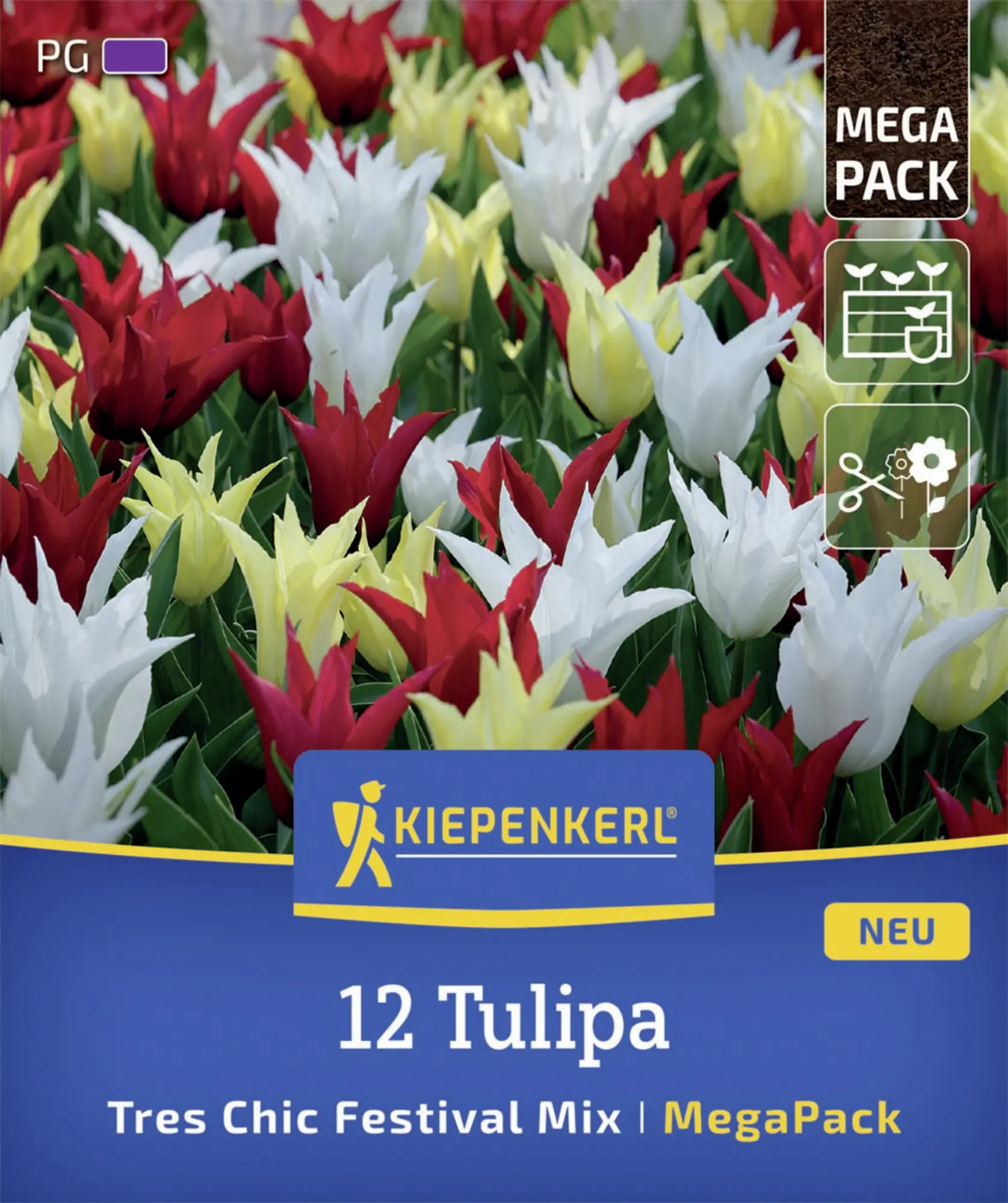 Kiepenkerl Herbstblumenzwiebel Mega-Pack Lilienblütige Tulpen Tres Chic 12 Stück