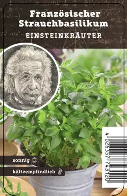 Einsteinkräuter Basilikum kleinblättrig 12 cm Topf Einsteinkräuter Basilikum kleinblättrig 12 cm Topf