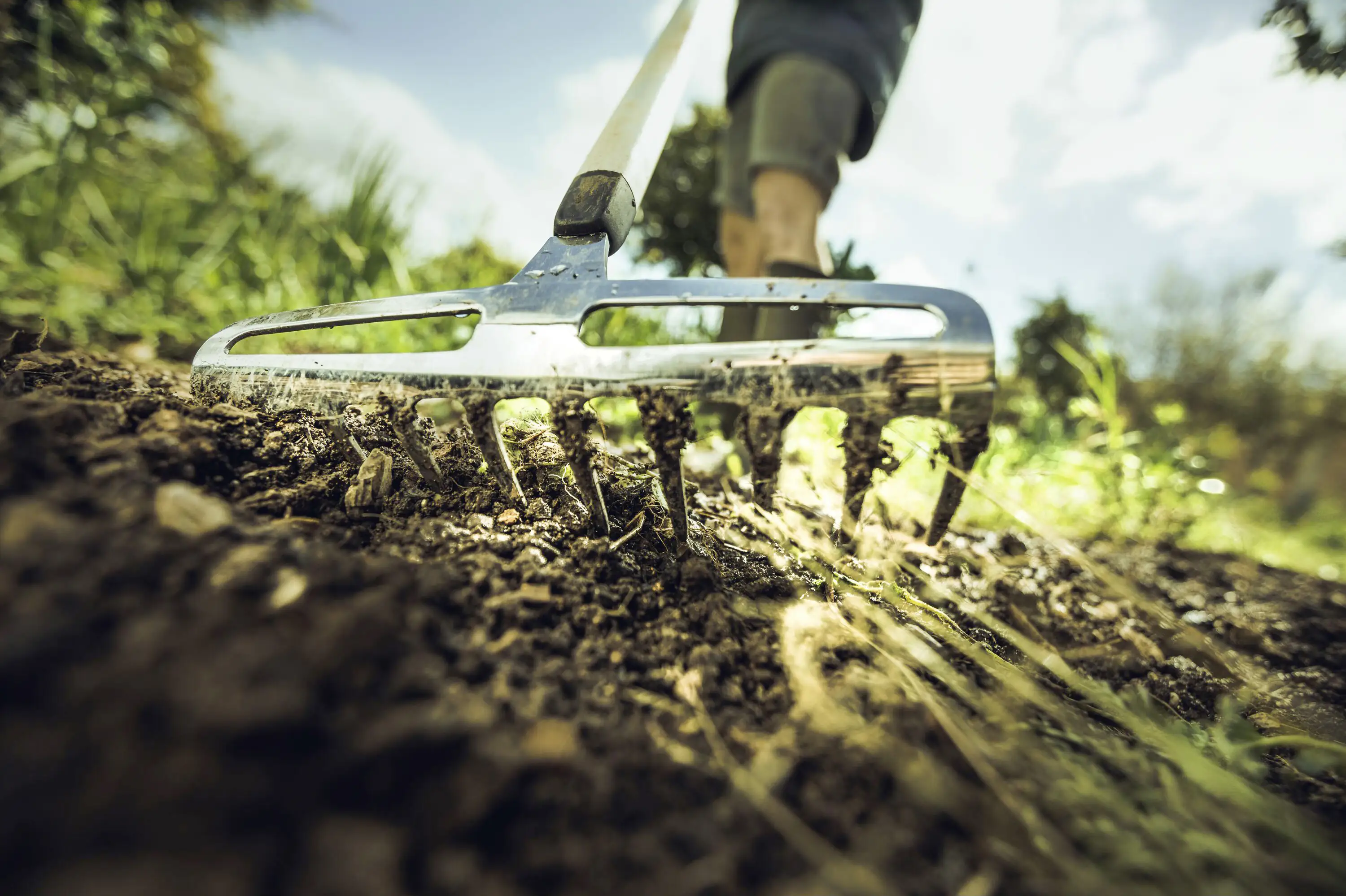 Fiskars Rosenrechen Xact S 23 cm Arbeitsbreite