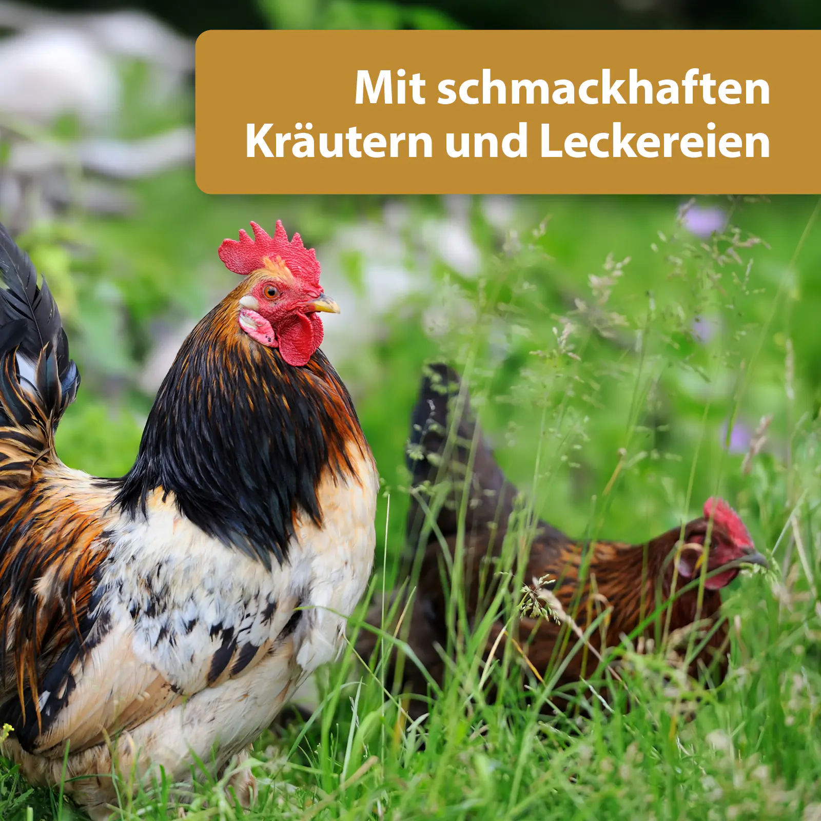 Quiko Hobbyfarming Fitness Kräuterball für Hühner und Geflügel 400 g