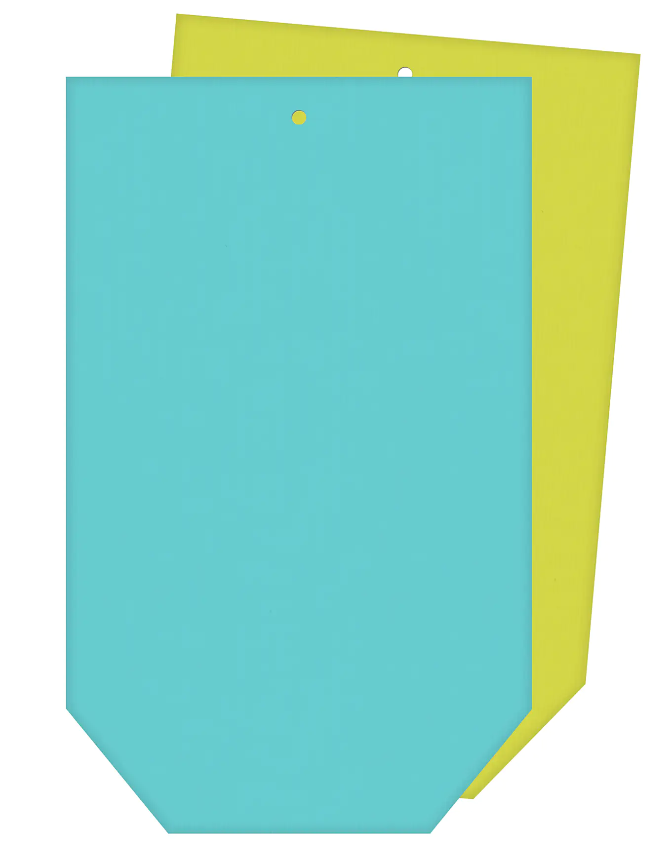 Braun & Company Geschenktasche grün blau 16 x 26 cm