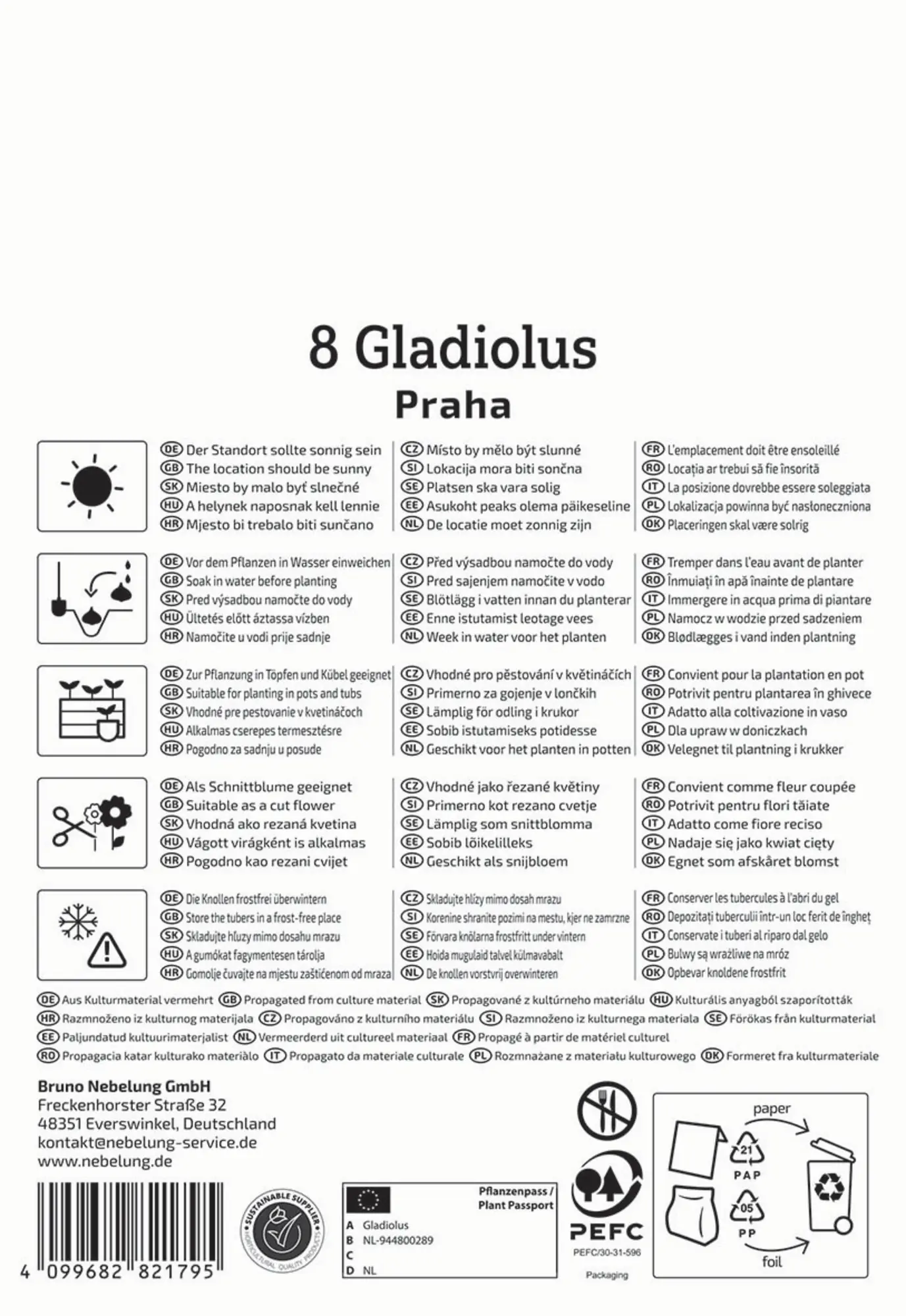 Kiepenkerl Frühjahrsblumenzwiebel Großblumige Gladiole Praha 8 Stück