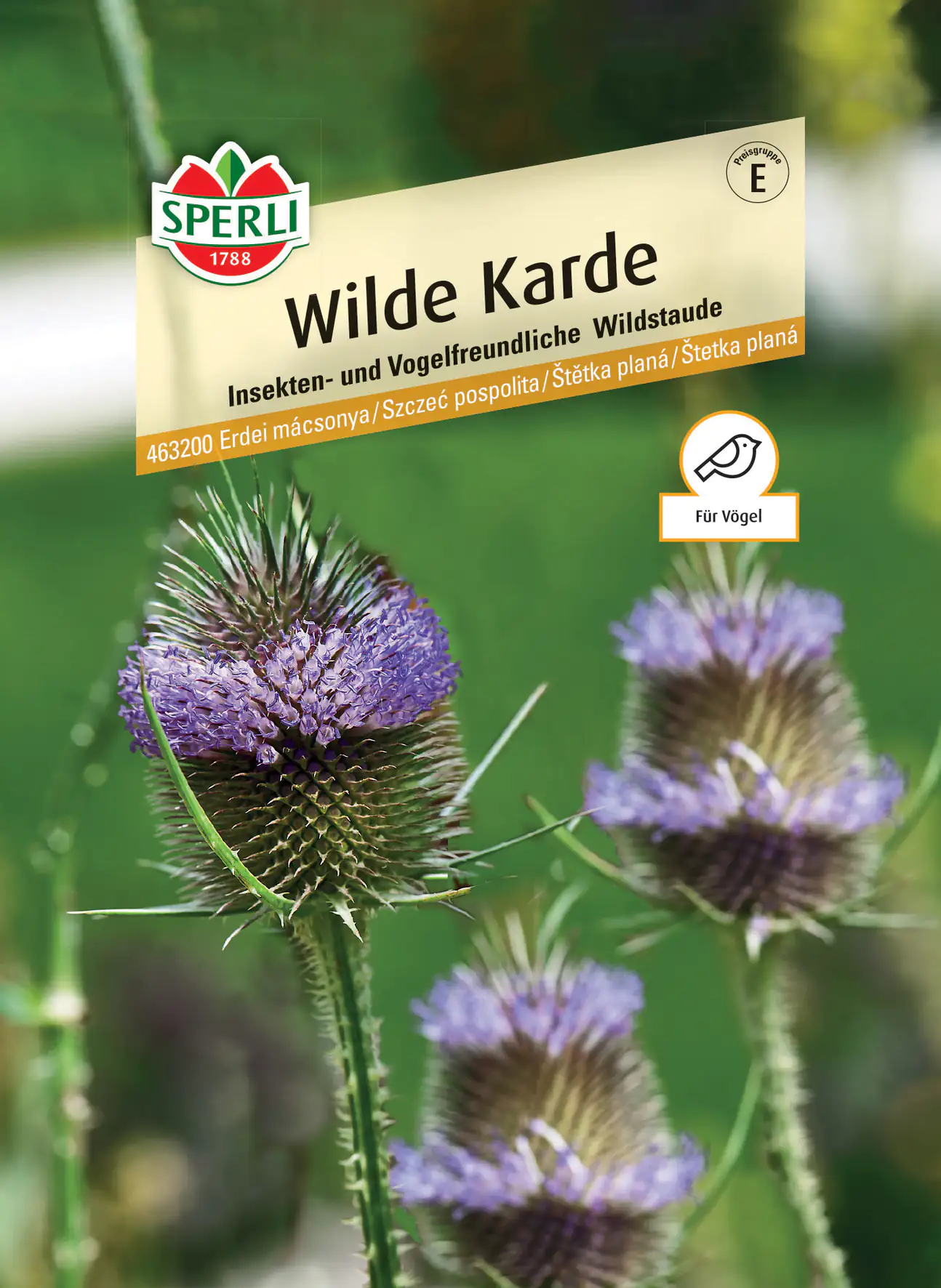 Sperli Wilde Karde