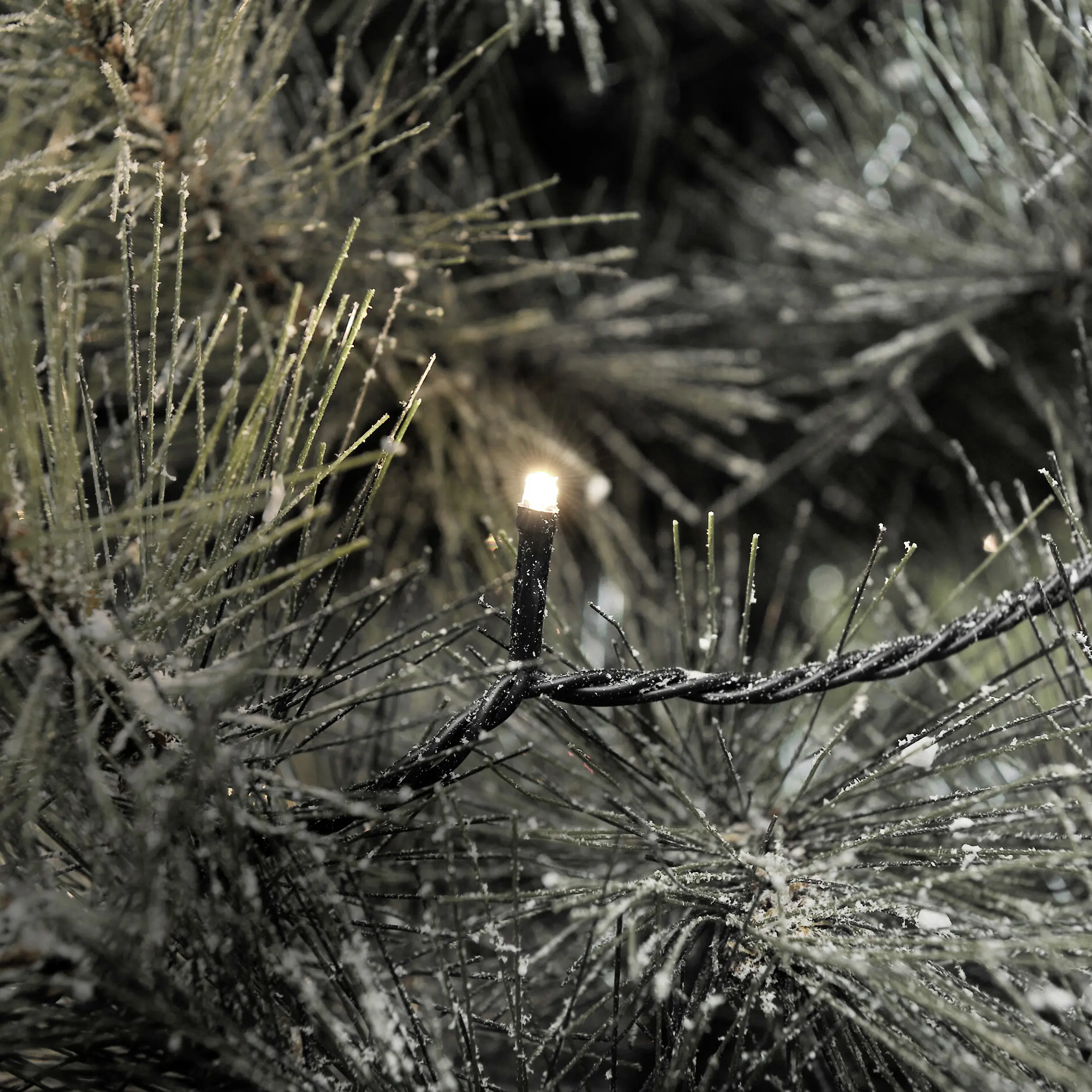 Konstsmide LED-Lichterkette Außen 41,84 m warmweiß