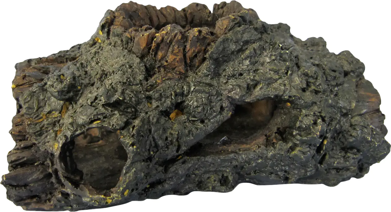 Orbit Welshöhle Orbit Welshöhle