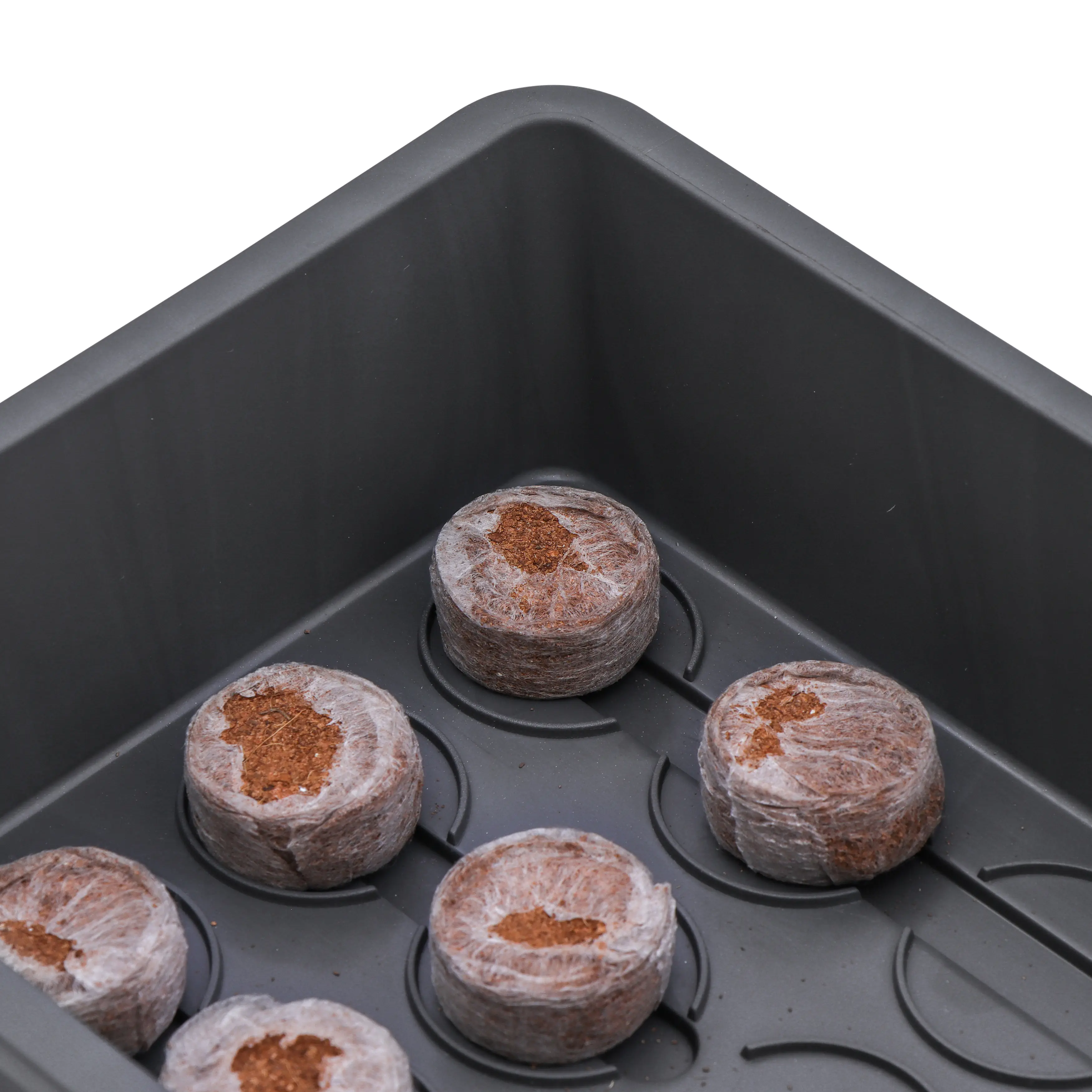 Siena Garden Anzuchtschale anthrazit 29 x 19 x 6 cm Siena Garden Anzuchtschale anthrazit 29 x 19 x 6 cm