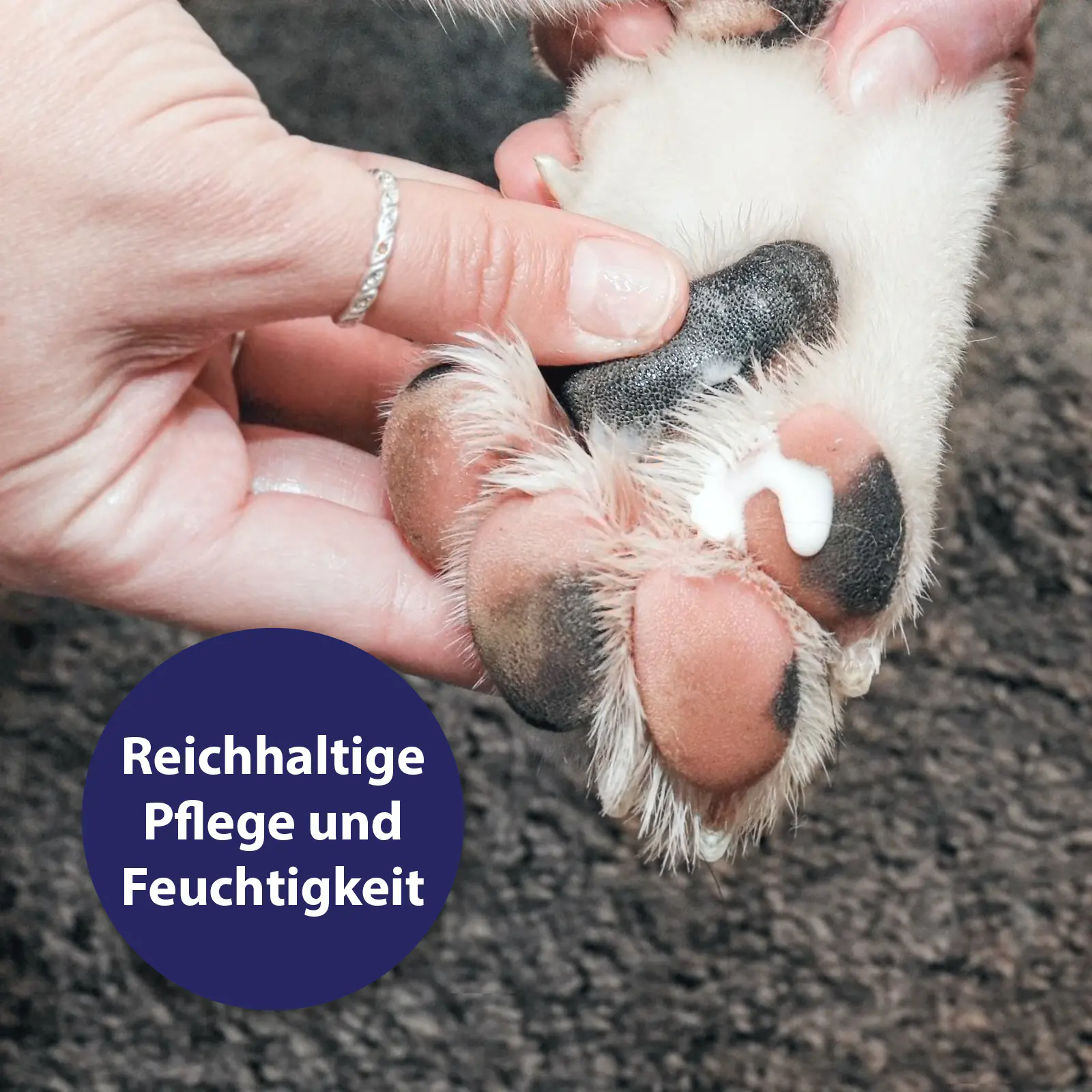 Canosept Pfotenpflege für Hunde 75 g