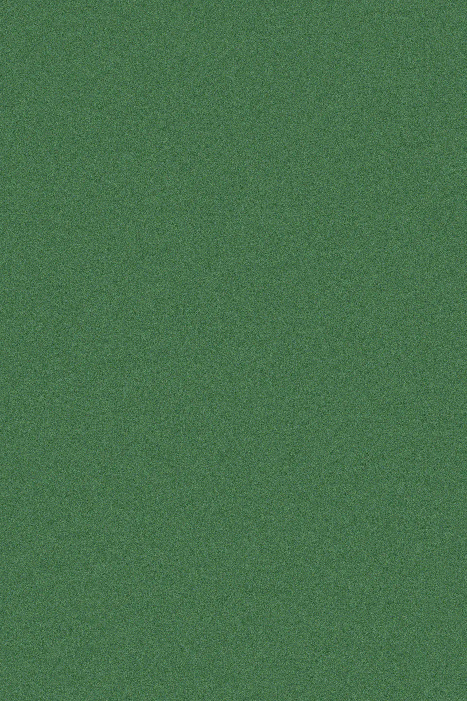 d-c-fix Klebefolie Velours billardgrün 45 cm x 5 m