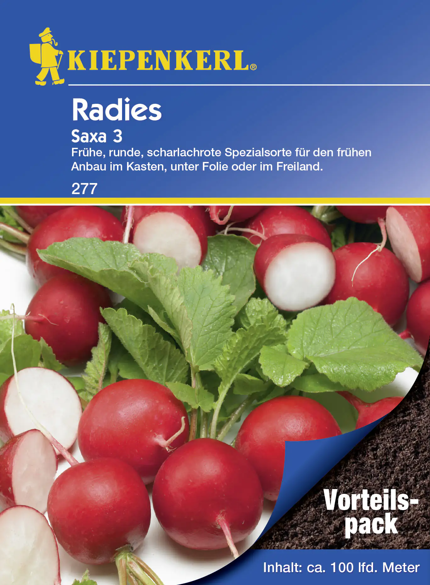 Kiepenkerl Radieschen Saxa 3, Vorteilspack ca. 100 lfd. Meter