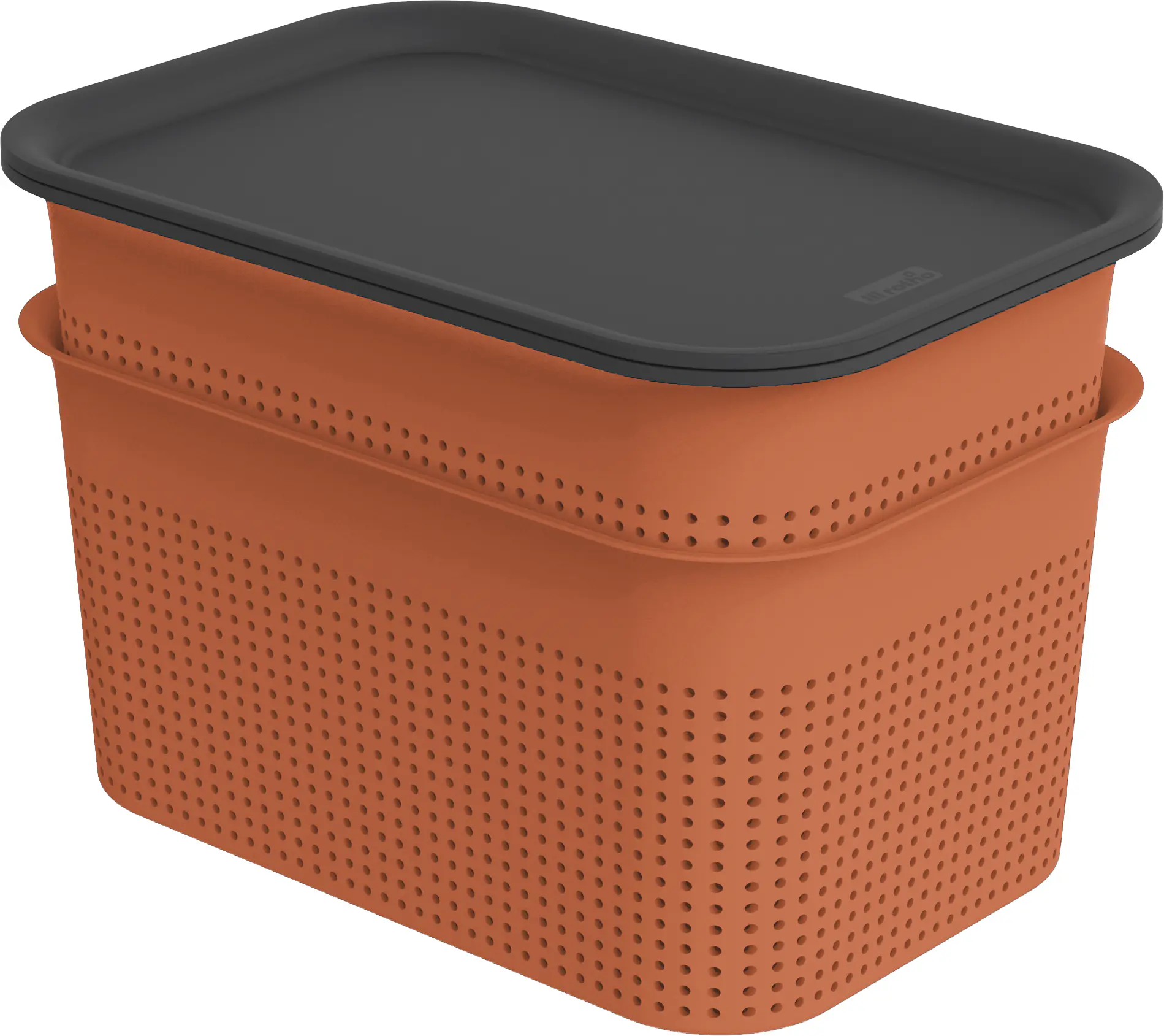 Rotho Aufbewahrungsbox Brisen mit Deckel 26,5 x 18,5 cm 4,5 L clay koralle 2er Set
