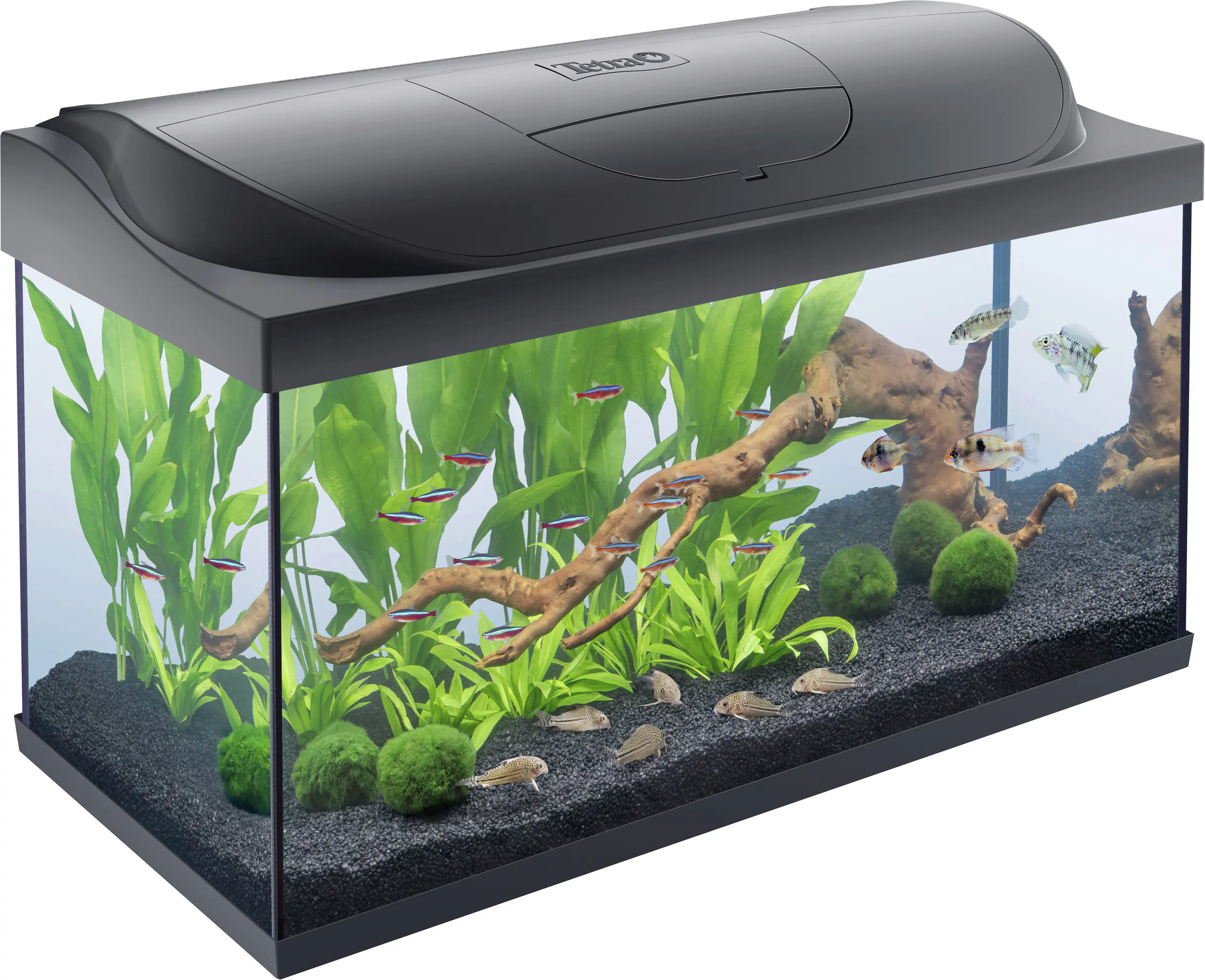 Tetra Aquarium-Komplettset LED Starter Line 105 L schwarz
