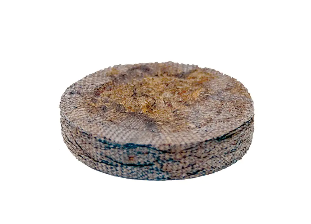 Prima Flora Kokosquelltabs Ø 3,5 cm, 20 Stück Prima Flora Kokosquelltabs Ø 3,5 cm, 20 Stück