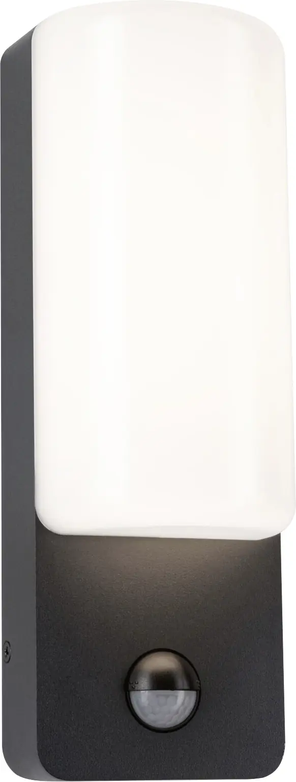 Paulmann LED Außen-Wandleuchte Bonnie anthrazit 26,3 x 9,3 cm mit Bewegungsmelder