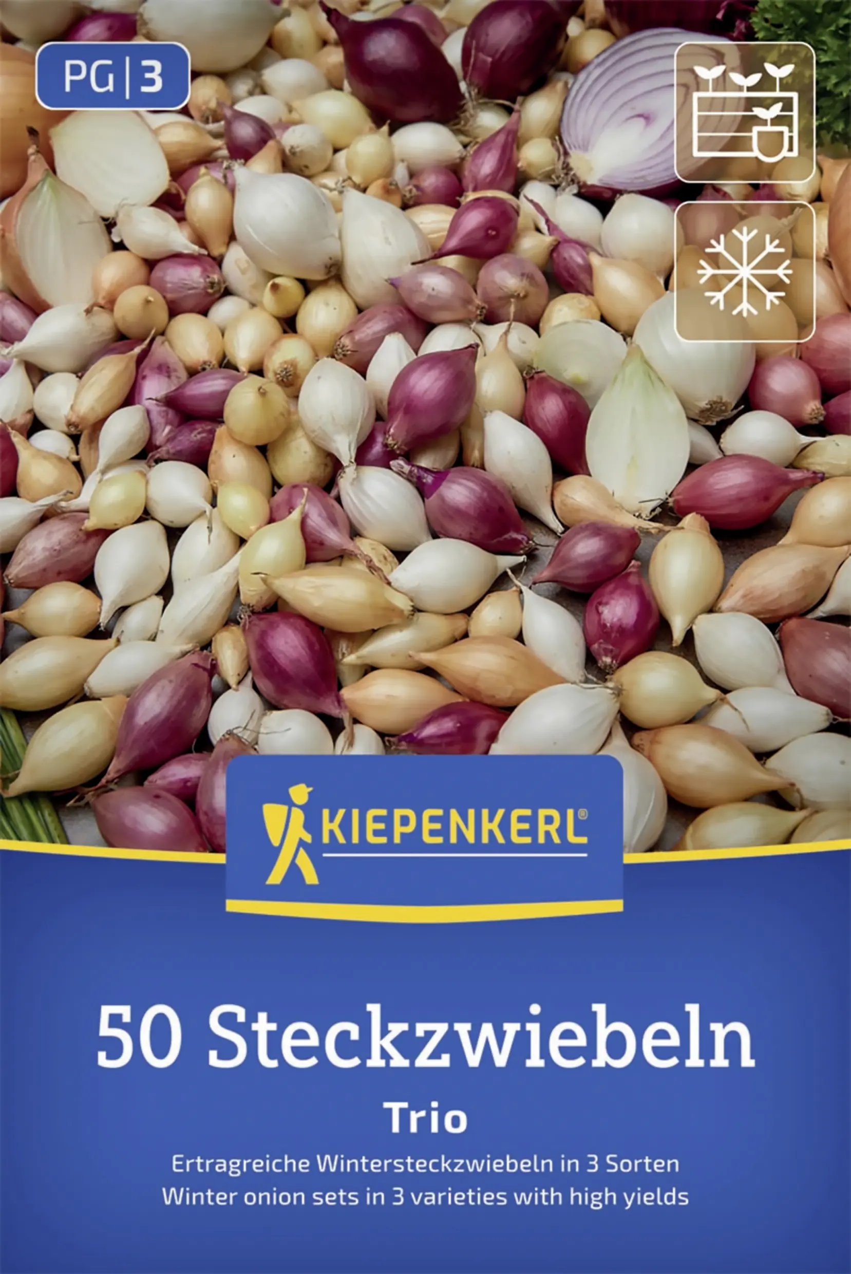 Kiepenkerl Wintersteckzwiebel Trio-Mix 50 Stück