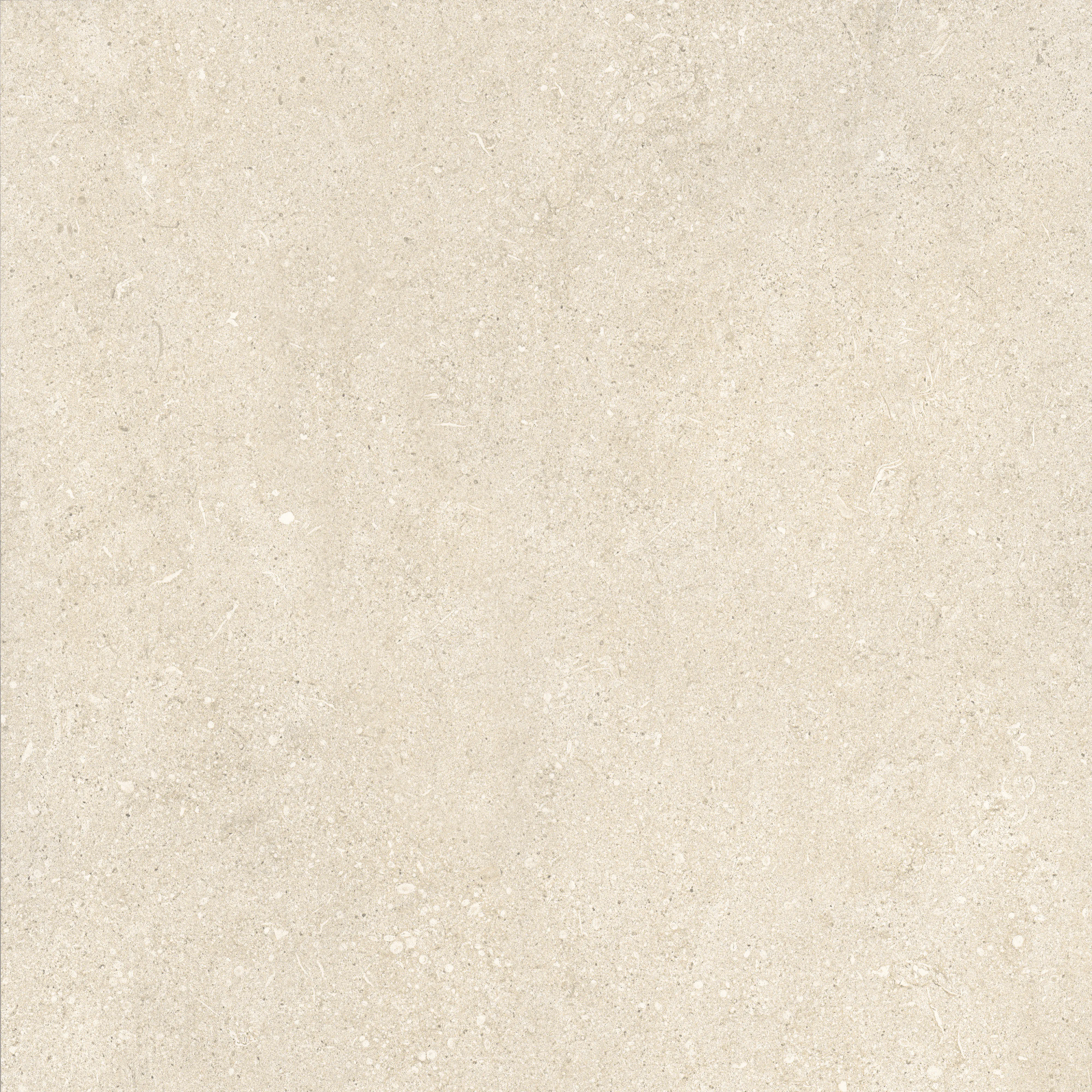 Bodenfliese Feinsteinzeug Sensi 60 x 60 cm beige