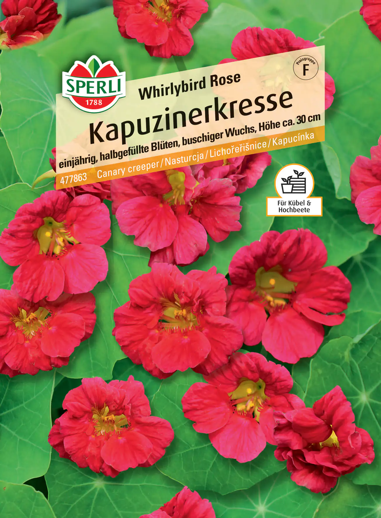 Sperli Kapuzinerkresse Whirlybird Rose