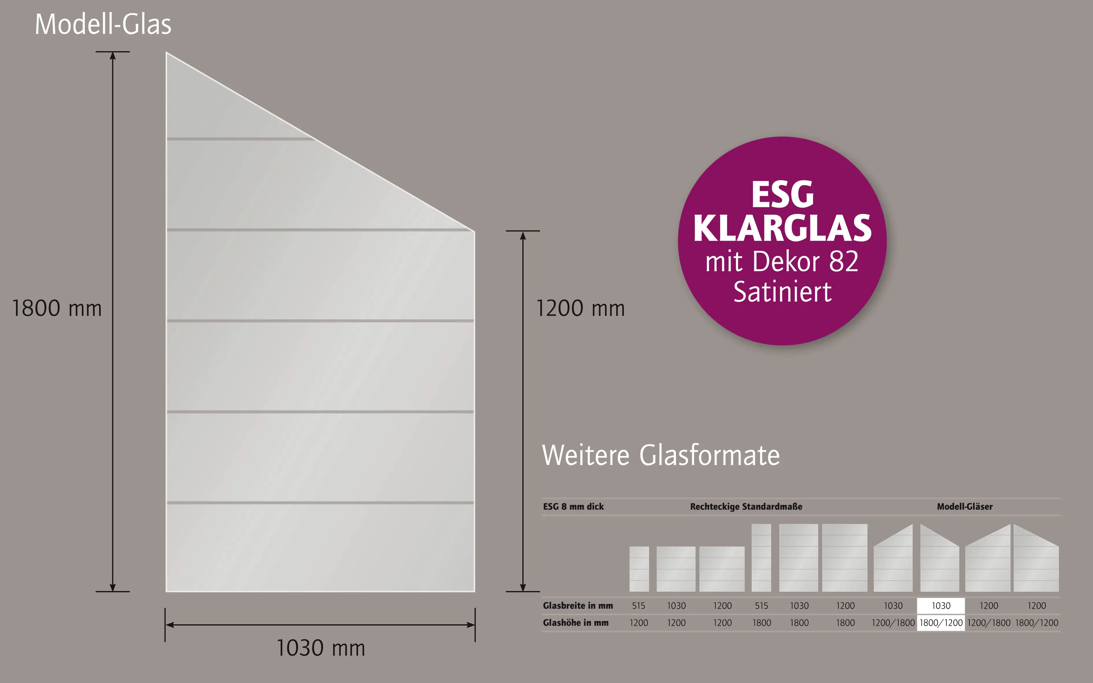 Ambiente Glaszaun Dekor 82 schräg 103 x 180/120 cm gehärtetes 8 mm Glas Ambiente Glaszaun Dekor 82 schräg 103 x 180/120 cm gehärtetes 8 mm Glas