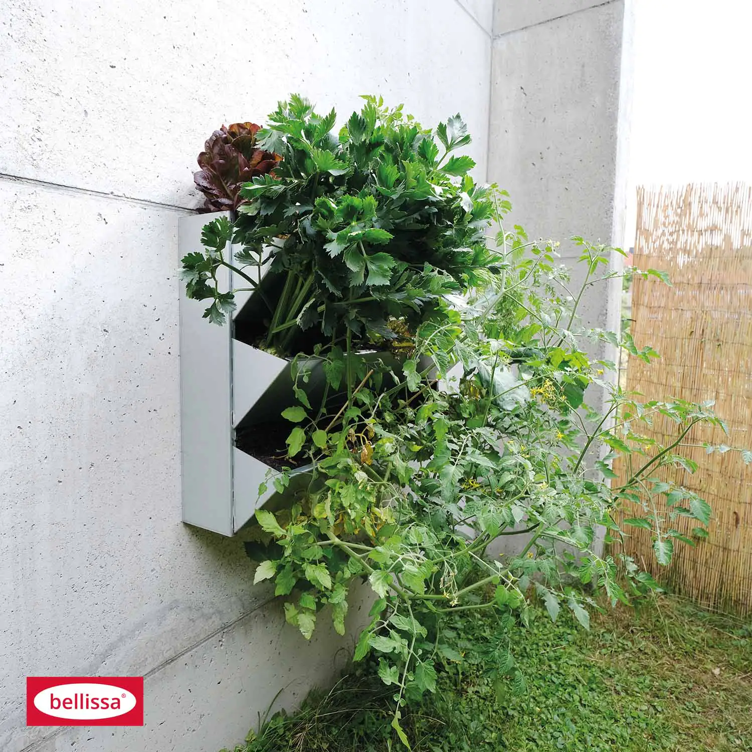 Bellissa Wandgarten Inalto S3 -92 x 27 x 60 cm Bellissa Wandgarten Inalto S3 -92 x 27 x 60 cm