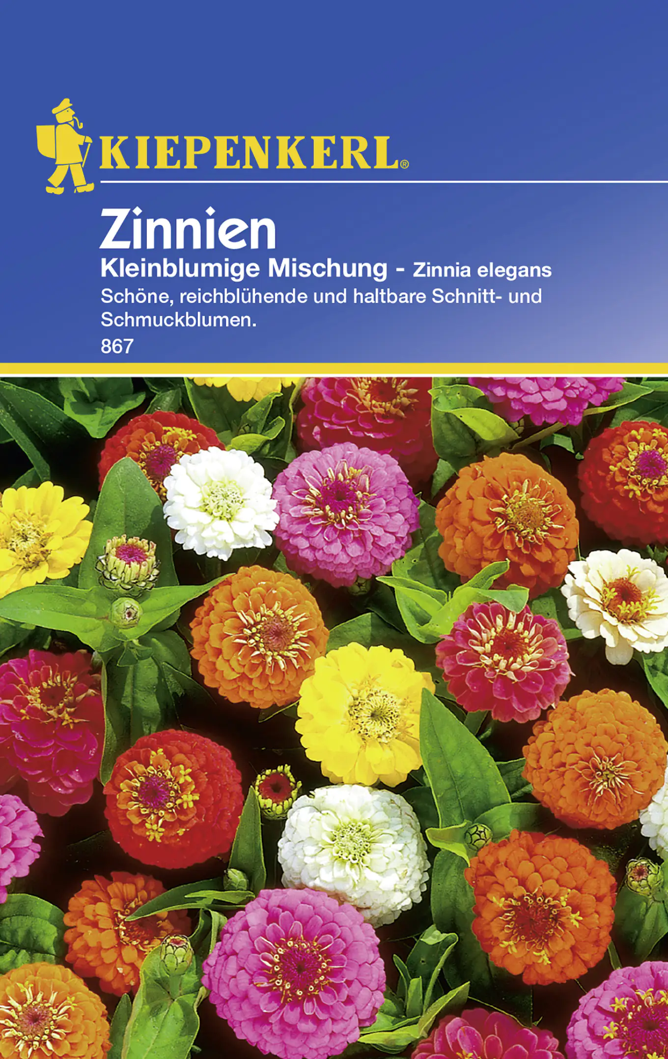 Kiepenkerl Zinnie Kleinblumige Mischung Zinnia elegans, Inhalt: ca. 50 Pflanzen Kiepenkerl Zinnie Kleinblumige Mischung Zinnia elegans, Inhalt: ca. 50 Pflanzen